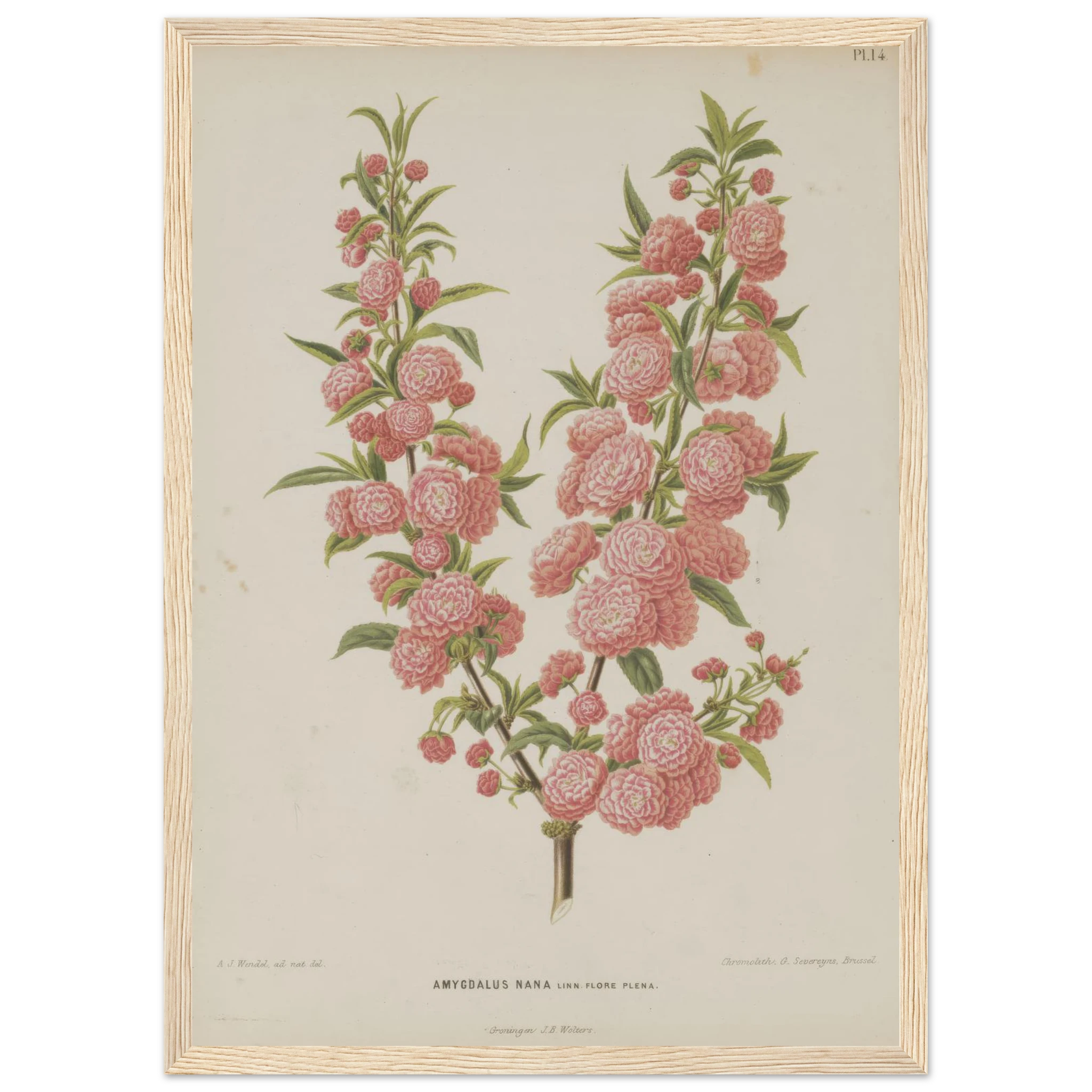 d5626bf7-c7f6-49f5-b65d-2e056792ebdb