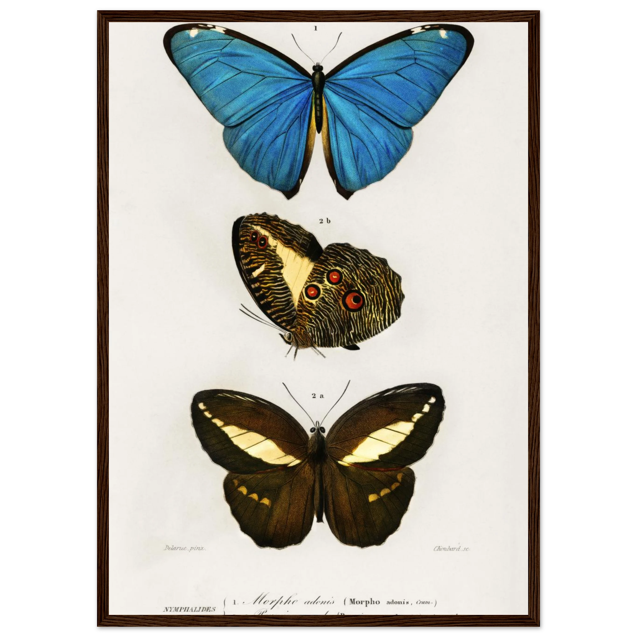 d56d45b6-e154-4741-bedd-8fe39216da75