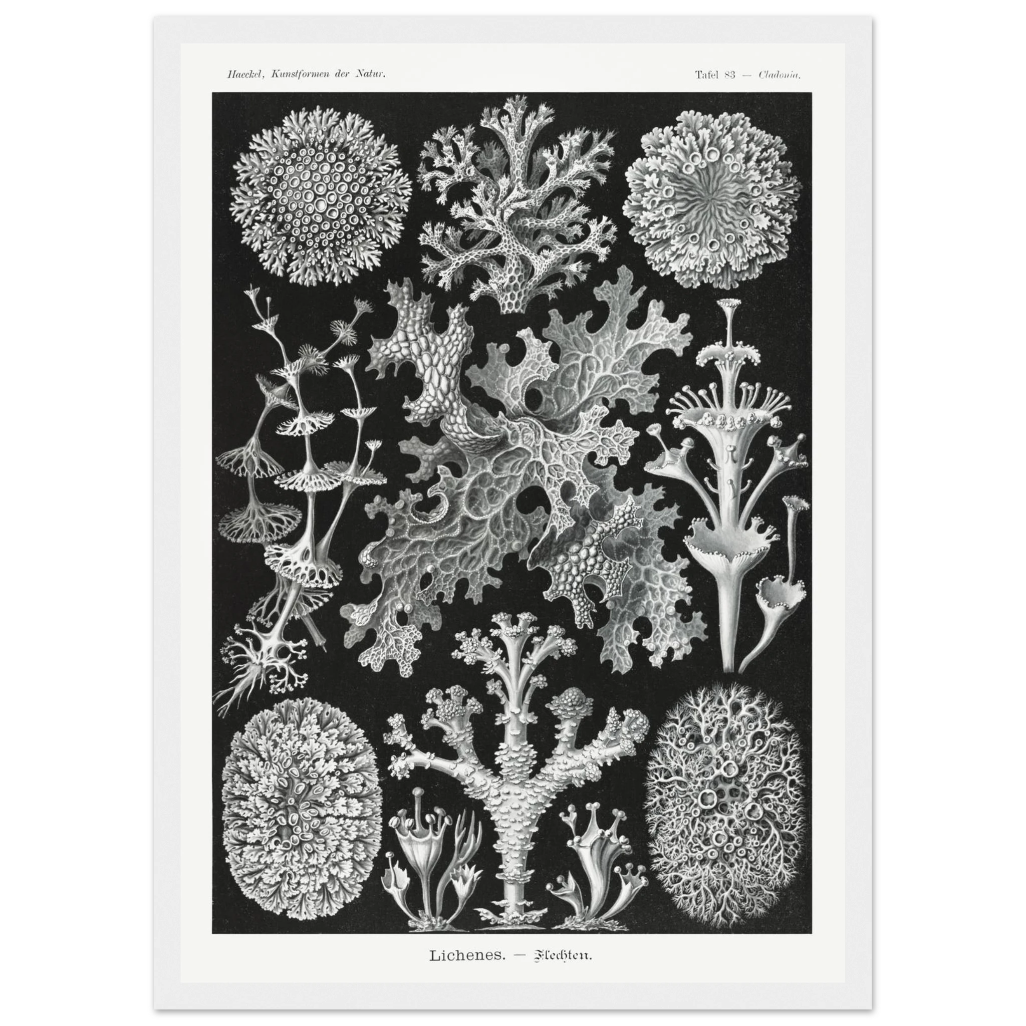 d58af6b3-8647-481a-8b6b-9bcec614cbad