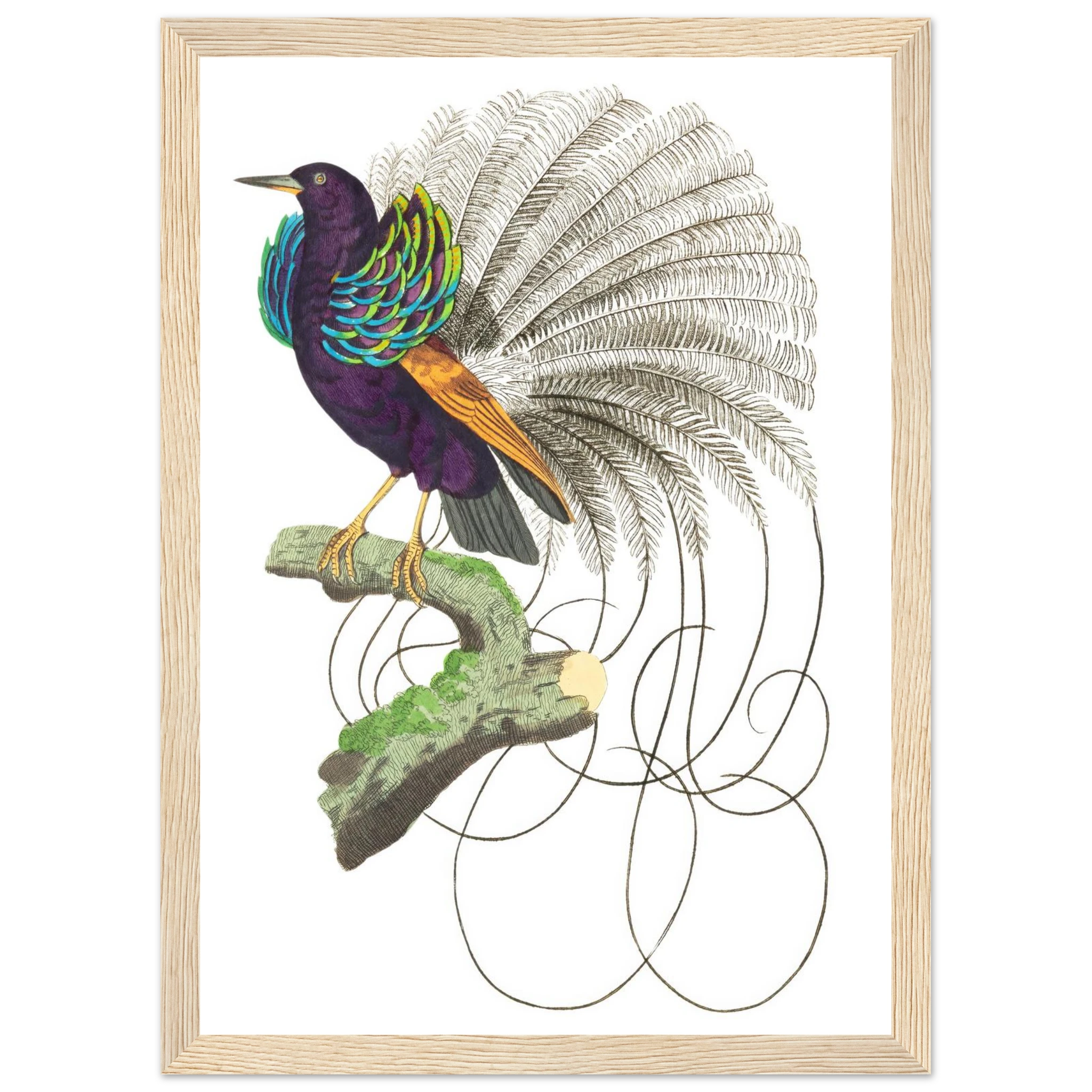 d651d7fd-e896-42bf-96ad-3b90f4422050