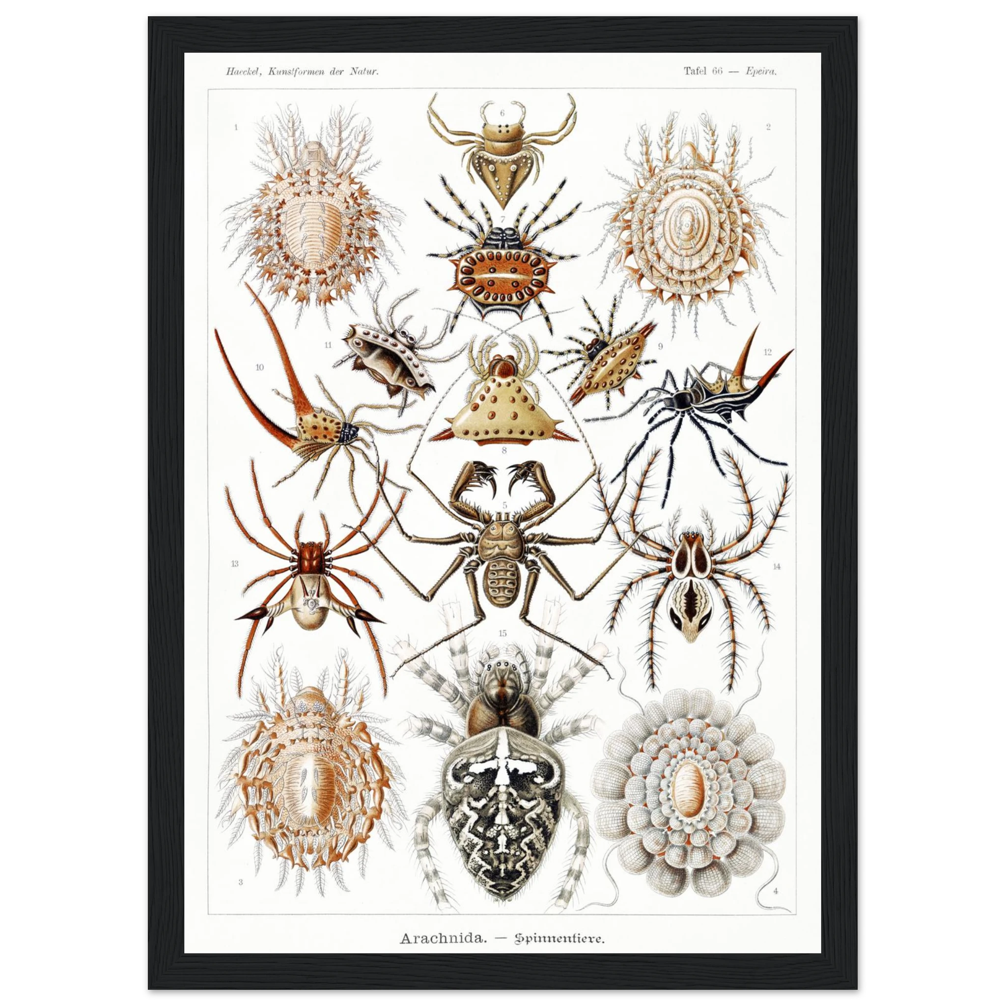 d664c79e-1b0c-499a-b26c-5549ea1b5474