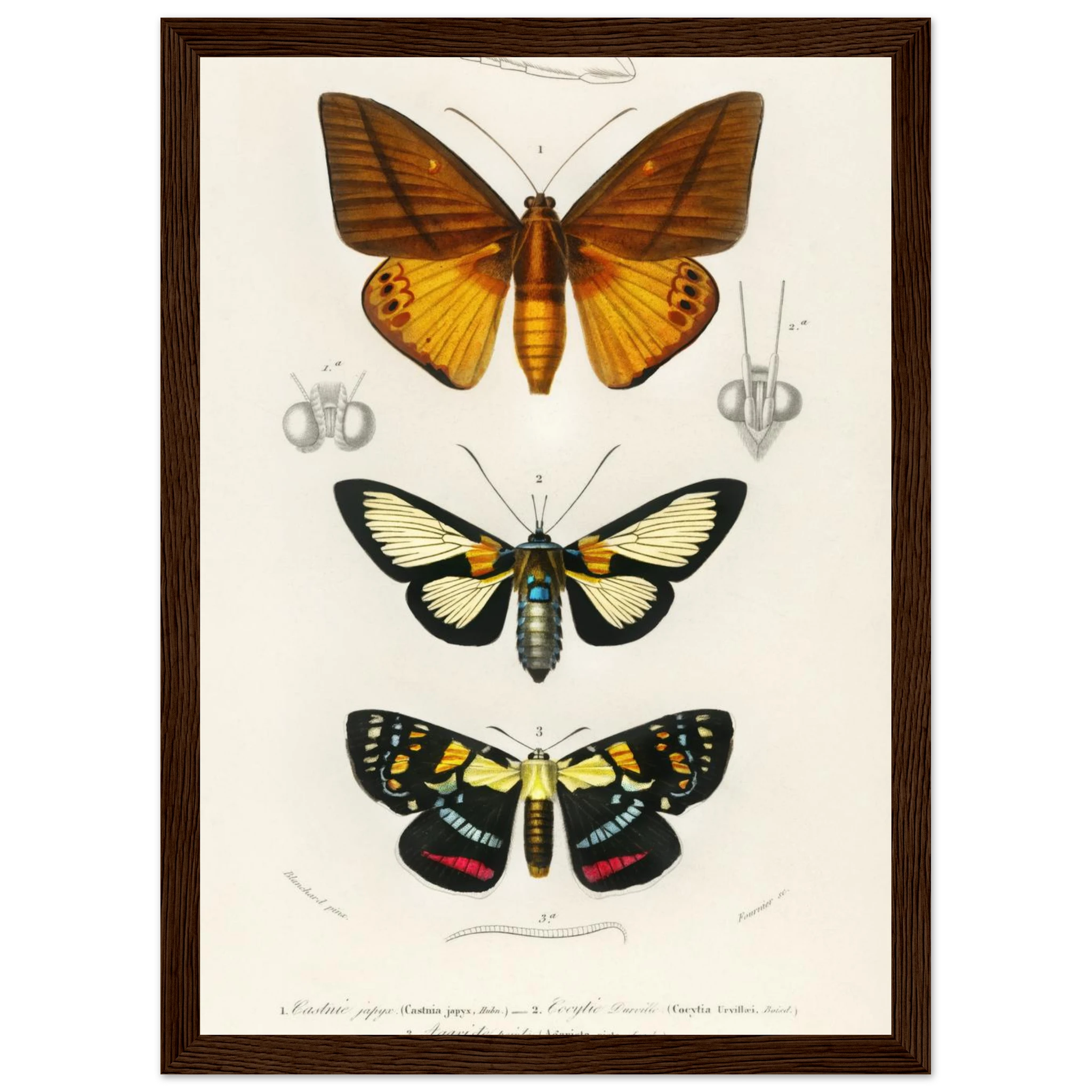 d6a10132-61c4-4fc7-8b3c-23267ce75c29