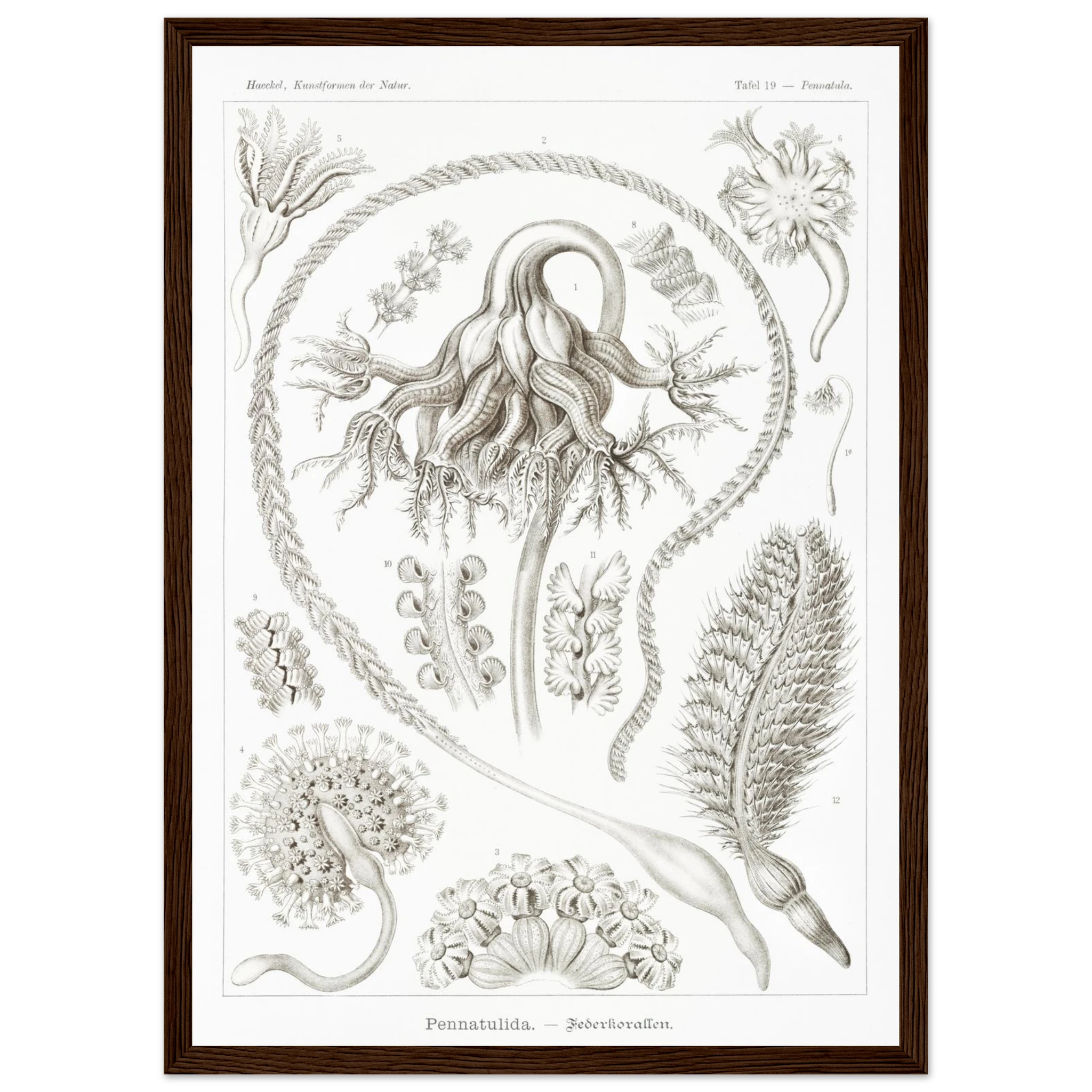 d6af1772-bb27-41ec-a466-1526972c1e85