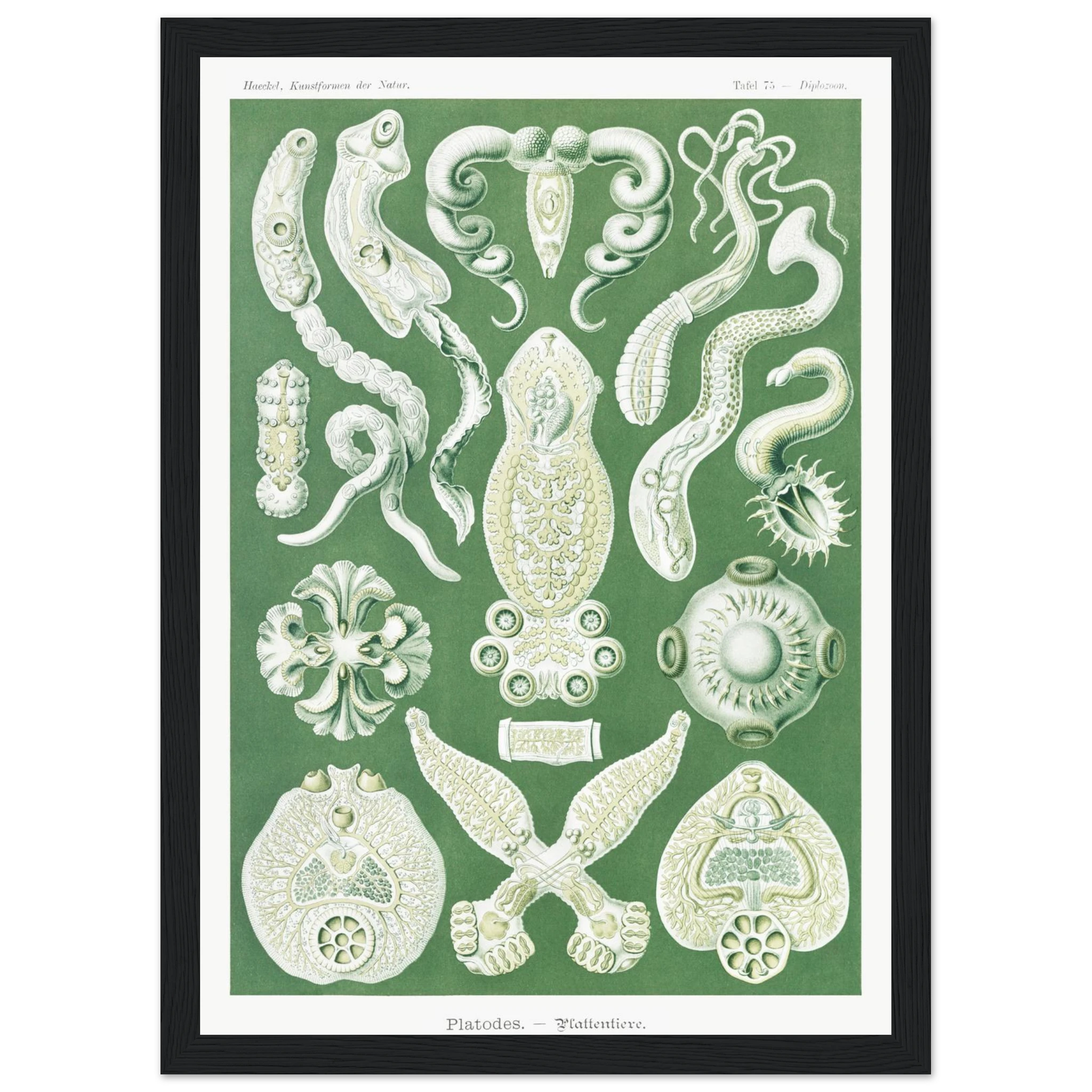 d6ce5d86-41bb-4c55-ab73-6e2374e752c6