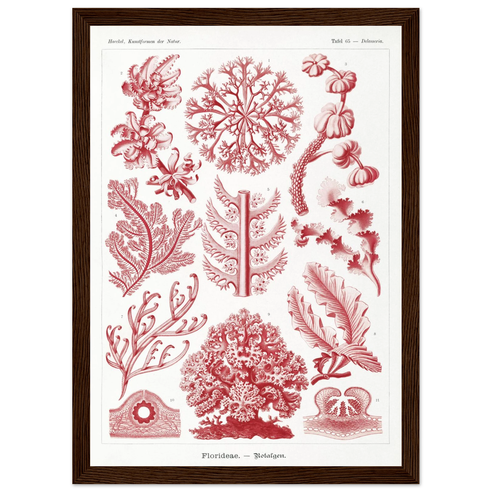 d6fda3d7-3d7b-4e4e-98eb-787b0bc8e5e5