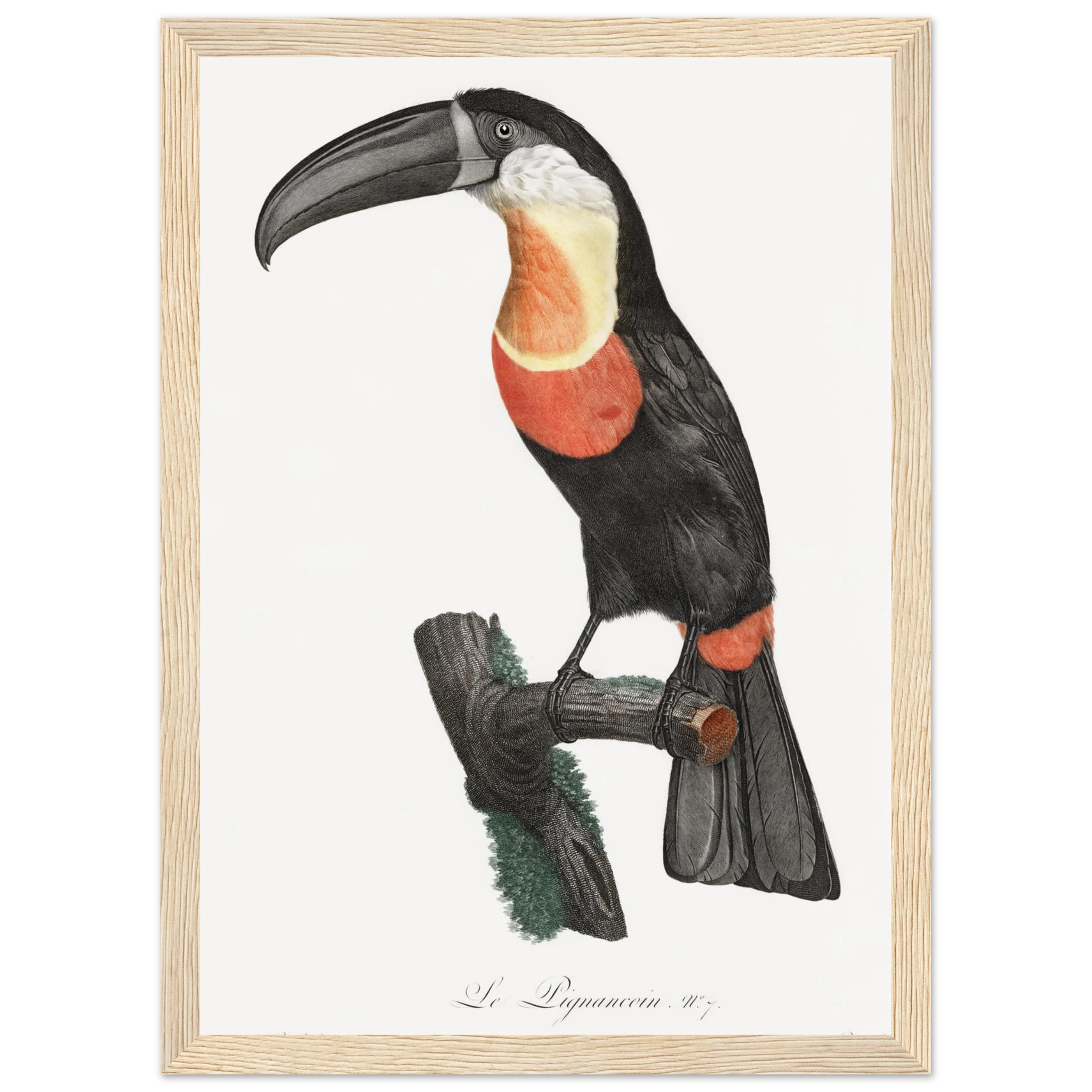 d6fecb50-dded-4ef0-97d8-c6d67d7e44f8