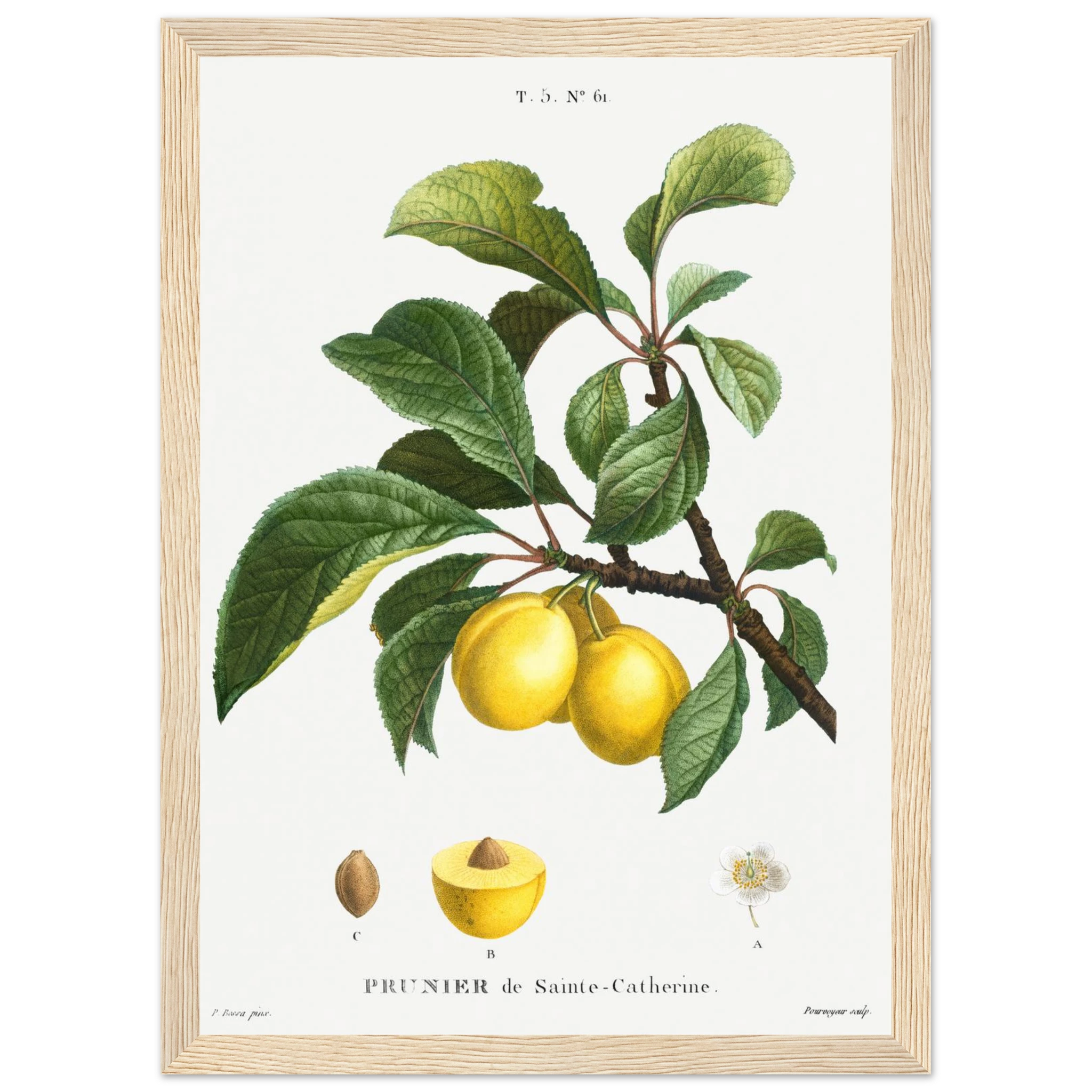 d72571f8-90af-4c1e-8a44-c8b0558216f2