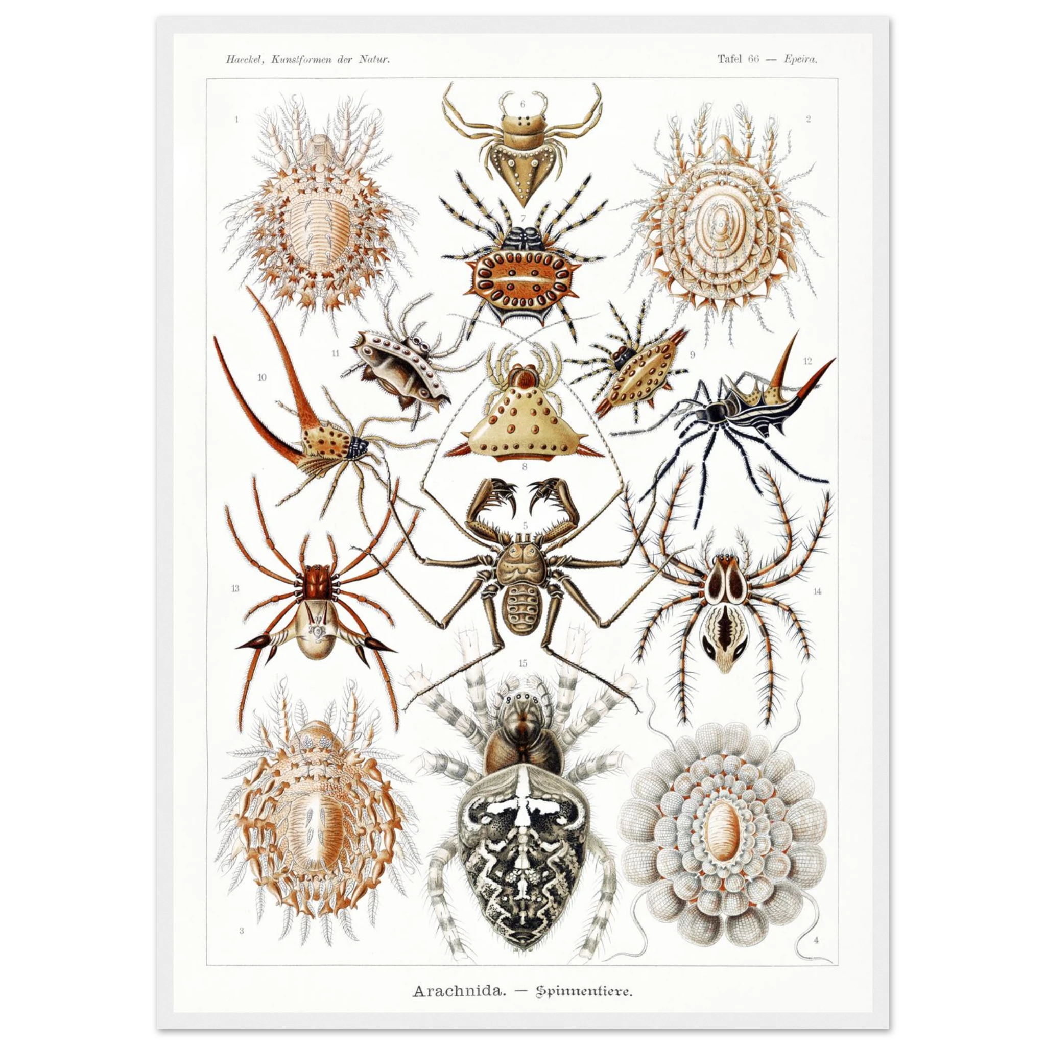 d733ee7d-c6d7-489c-9009-1319adac33cc