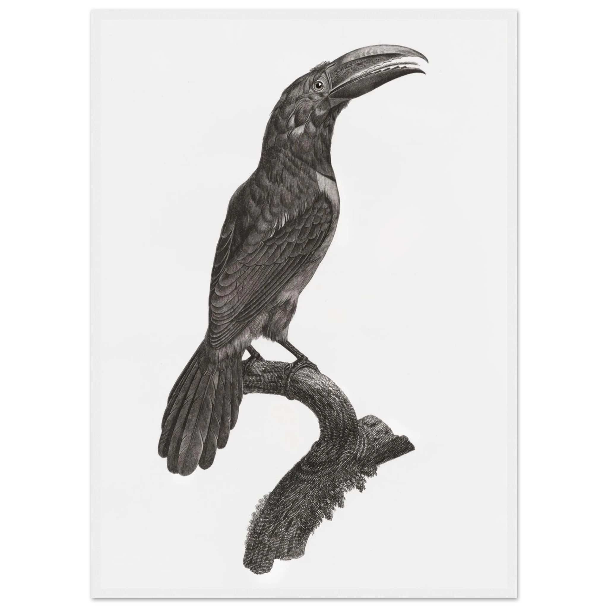 d74bf616-272e-4ddf-8c40-94629f447e6a