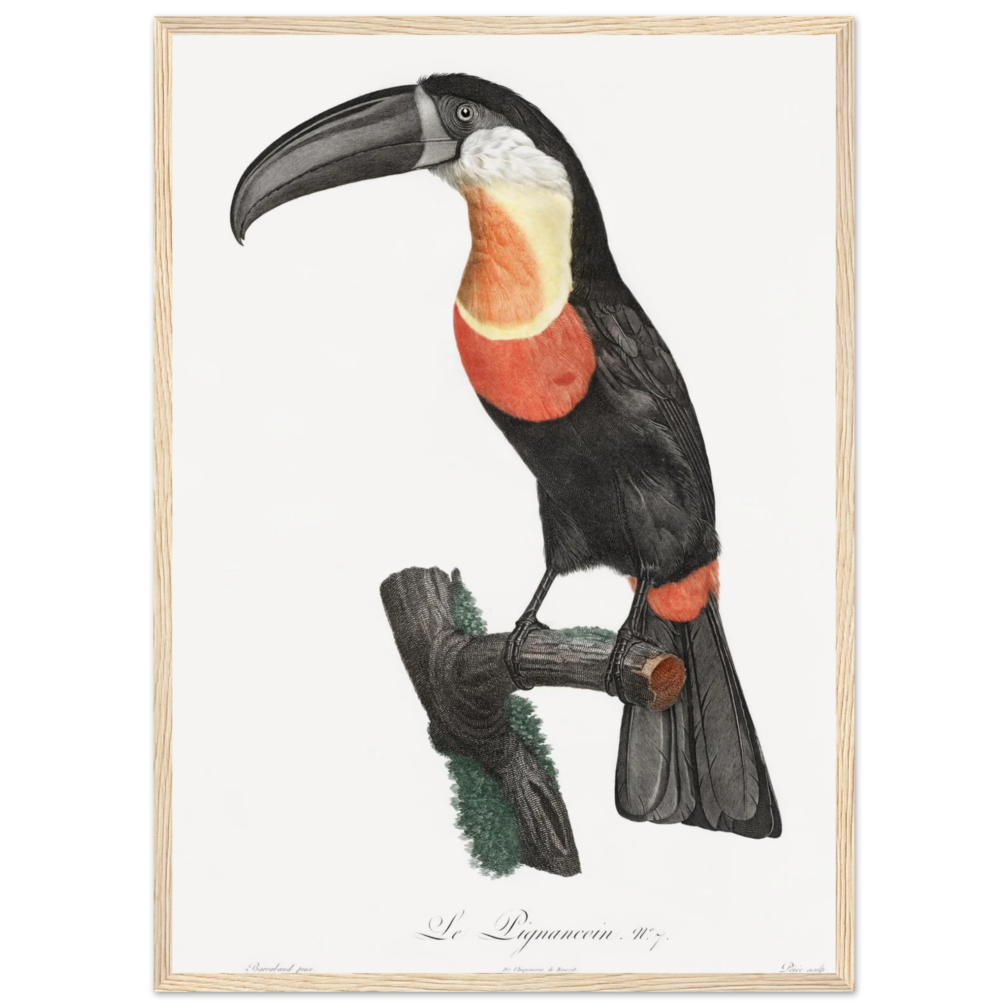 d7555f7f-fcc0-4337-8a44-d6cd535a5d01