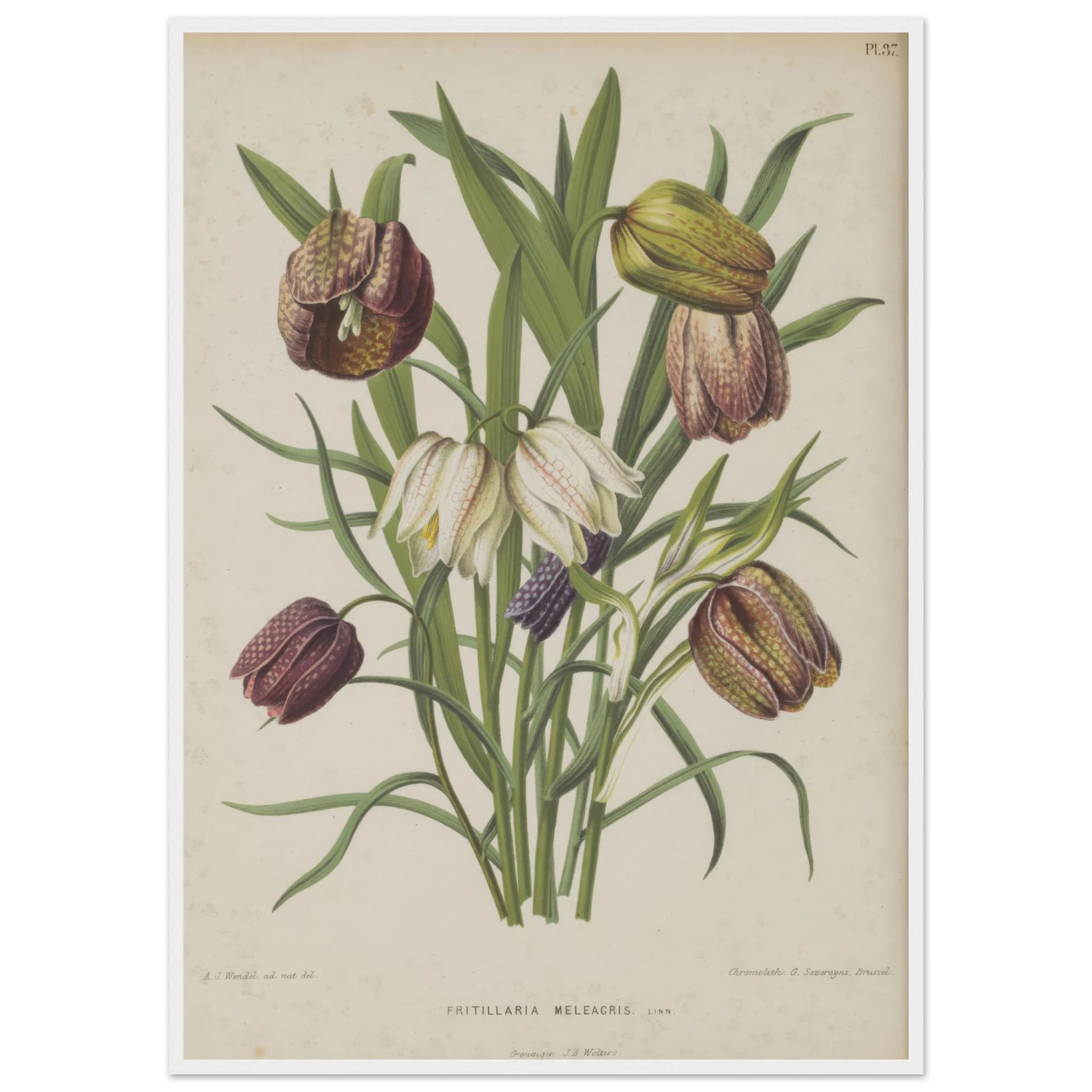 d78bfe1d-0fd7-4853-9e2a-67c4cb60c159