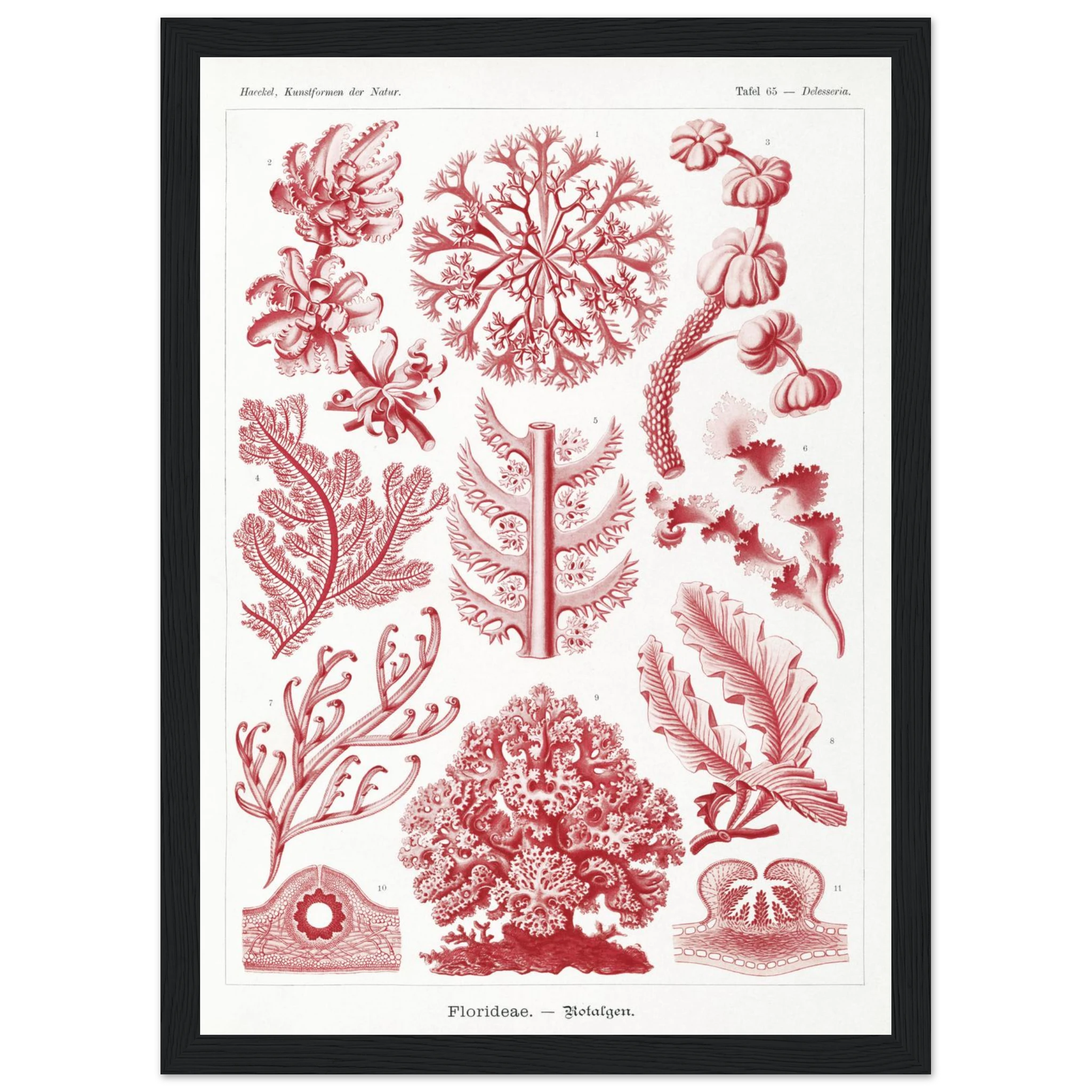 d7921f0a-b016-4eef-a35b-a3096f61159f