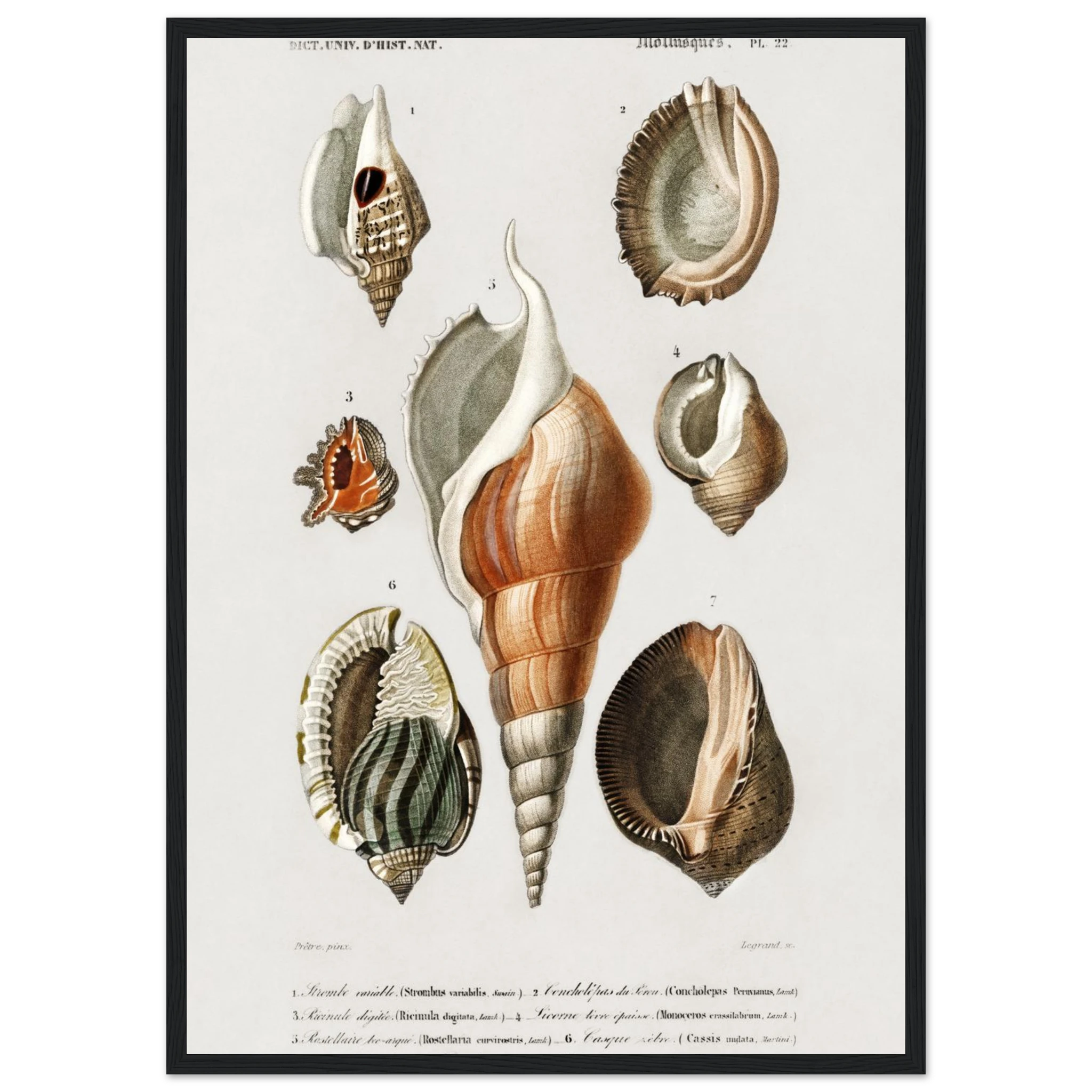 d7a1acae-30b1-45be-b921-1b2db3ae3151