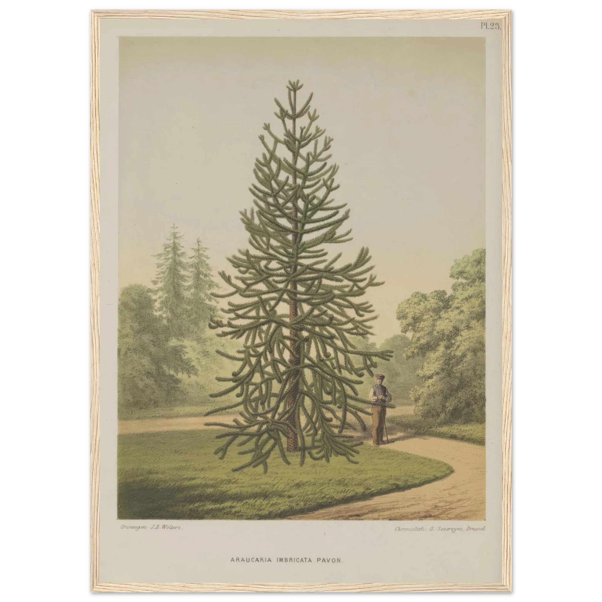 d7a2bd08-c3fe-4fa6-96a6-d781b712dfce