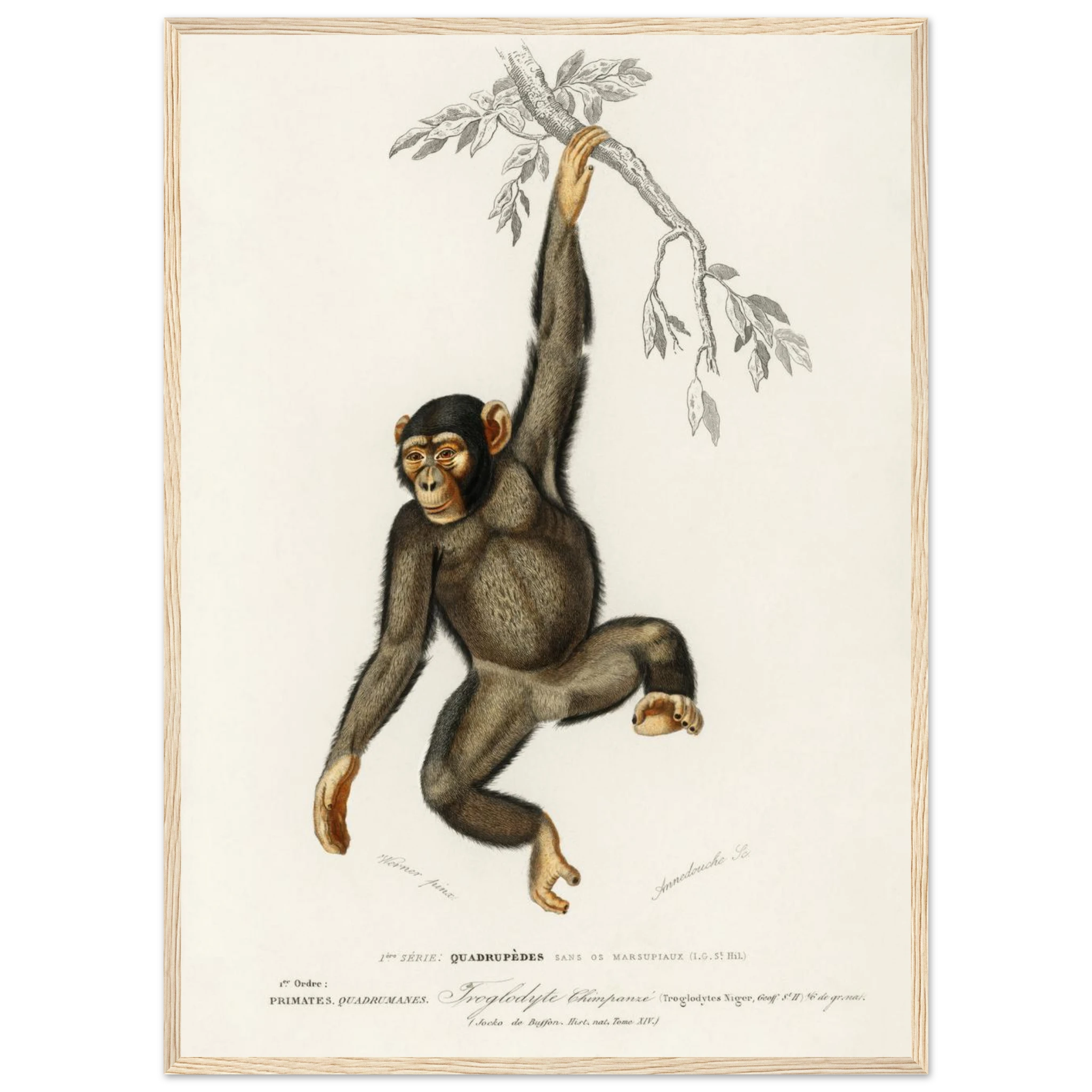 d7bf4e4c-832a-436e-bcdb-d9a5b6410594