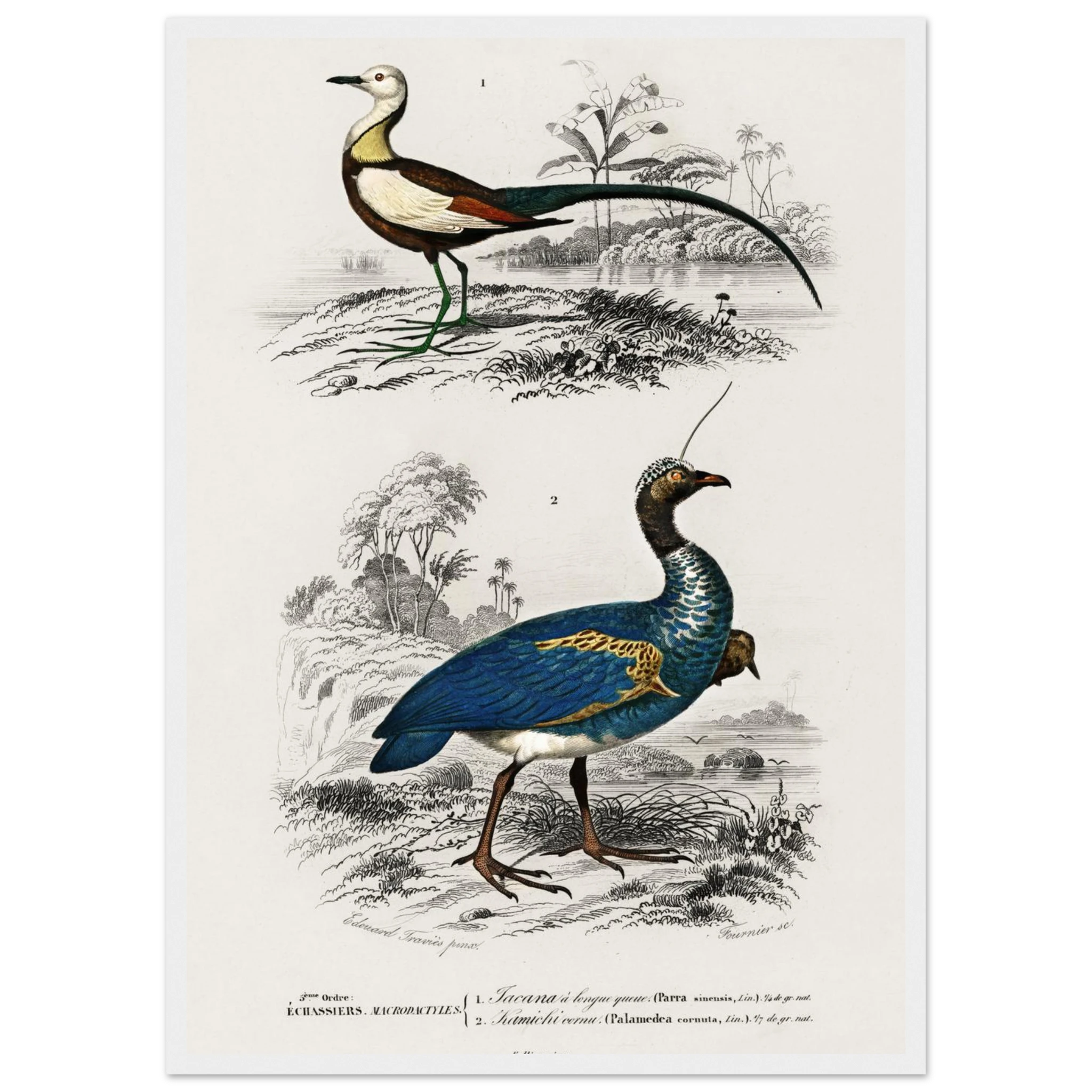 d7dc85b5-0c1b-461f-8cfd-1a43275c8b5f