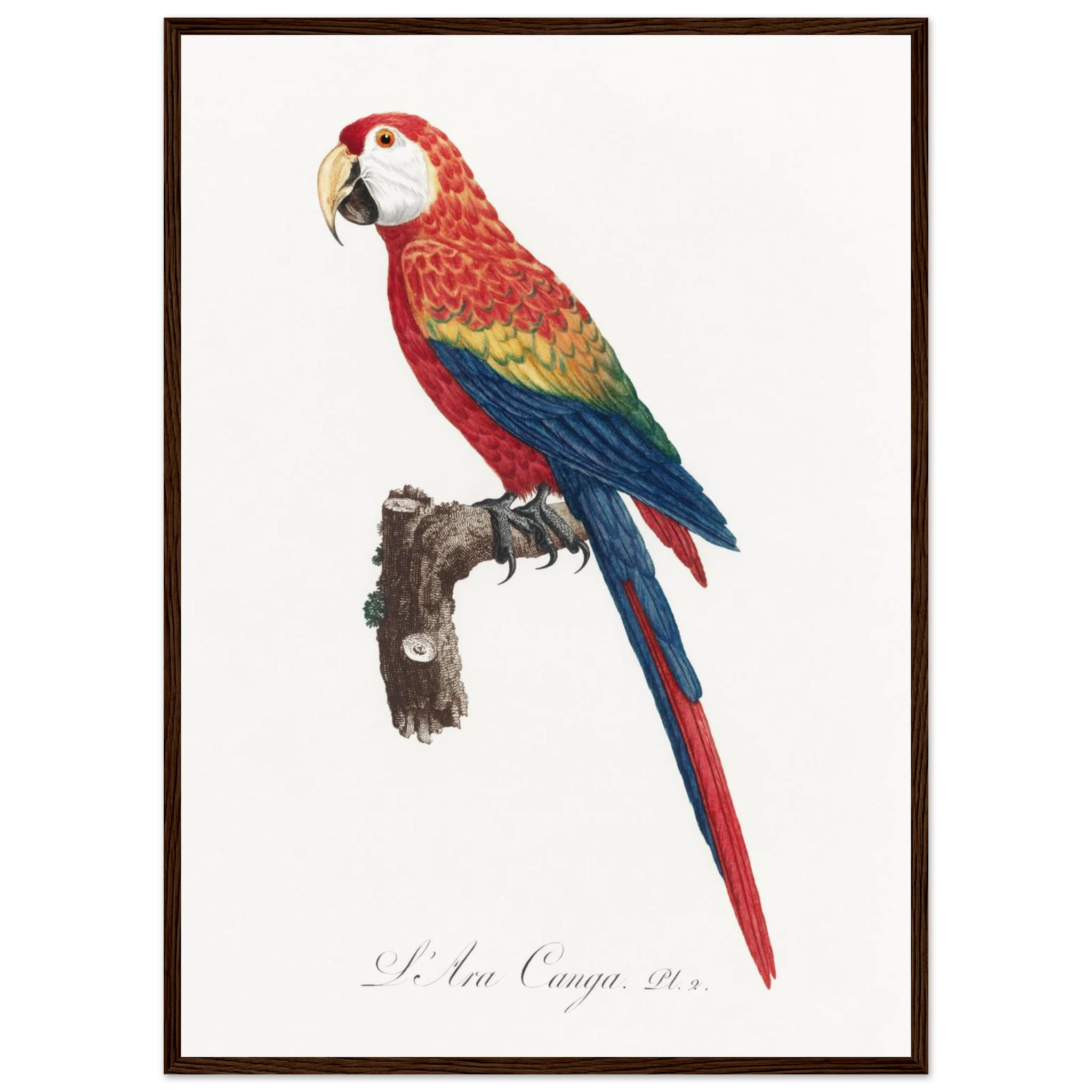 d816b687-d696-4c25-bb2f-4463bc08cc2d