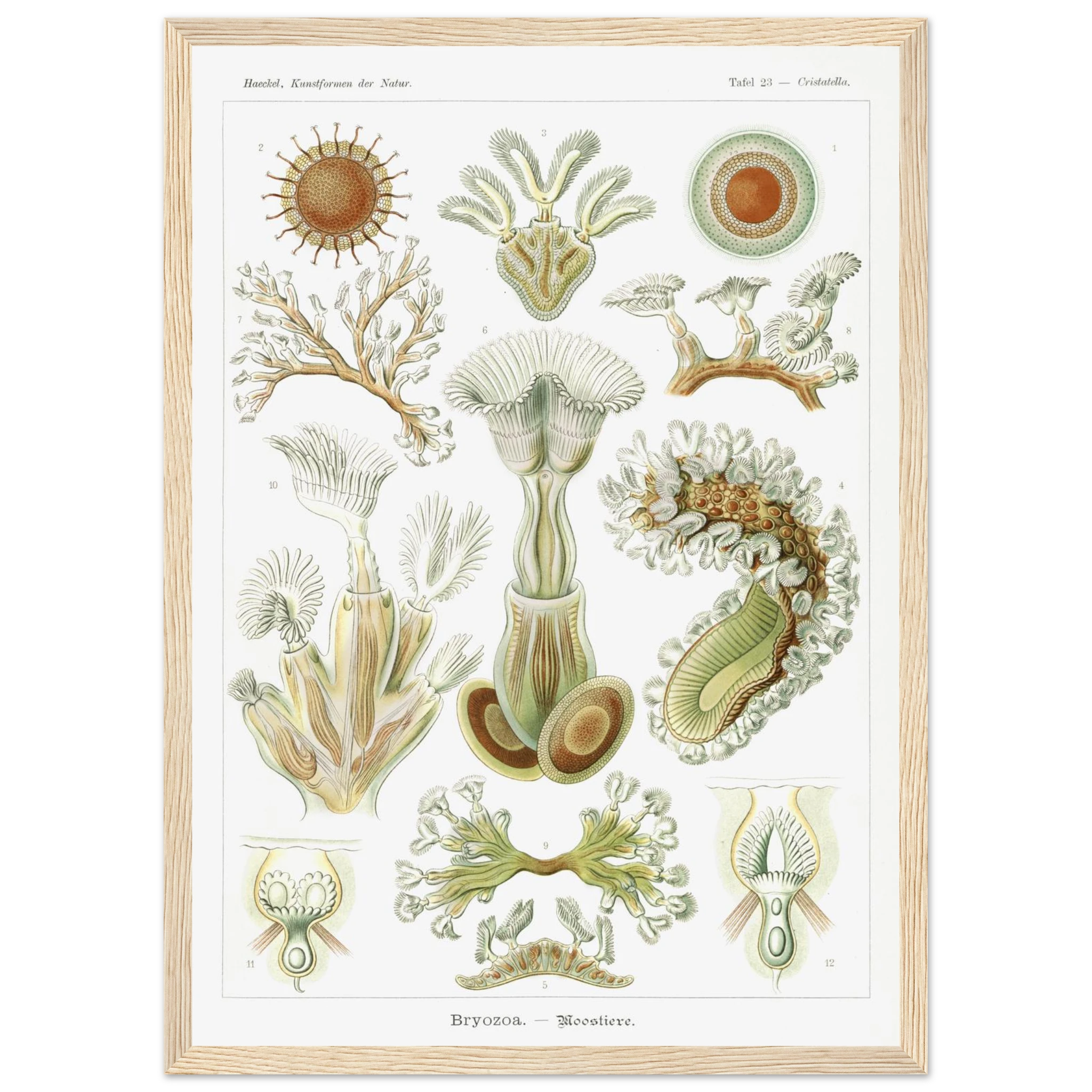 d847414f-0333-4379-874b-c27d164afd60