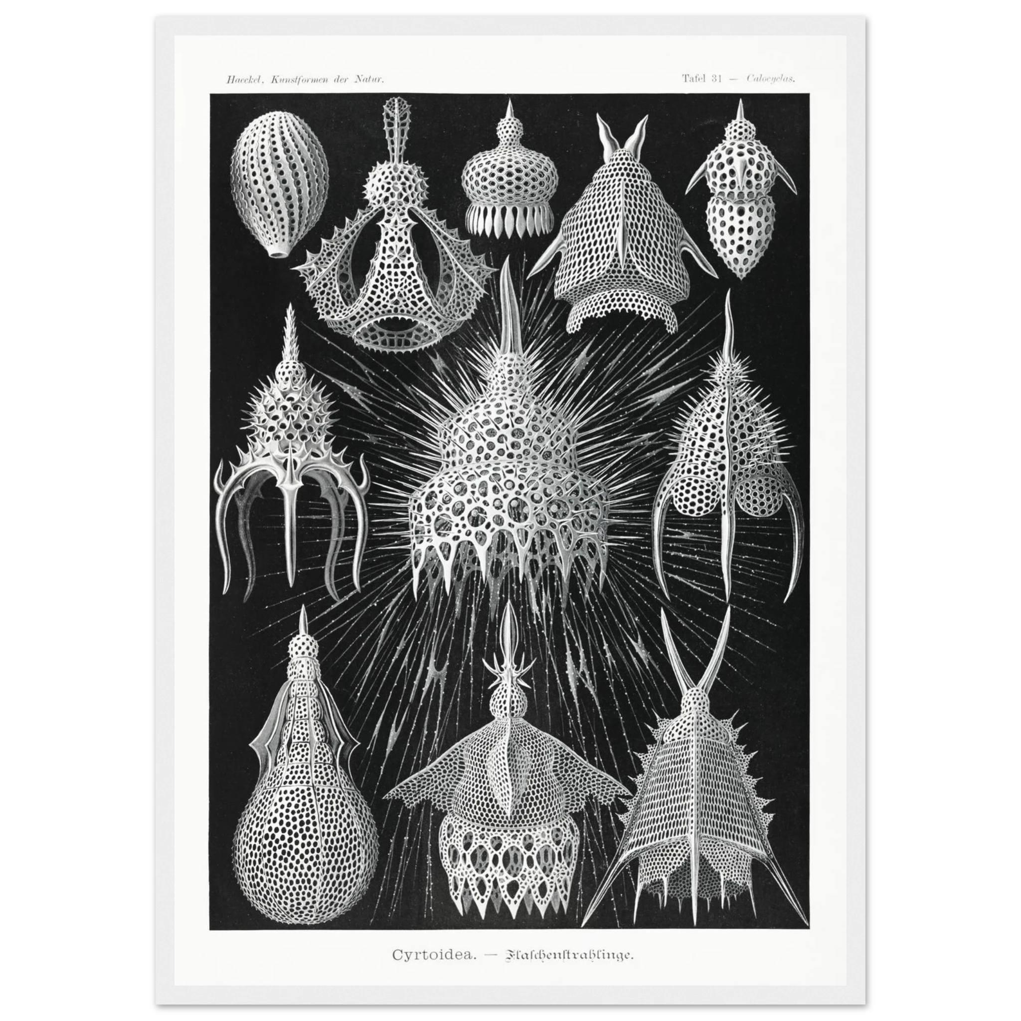 d8a54bb7-cbbb-4650-8f5d-e087a628fb08