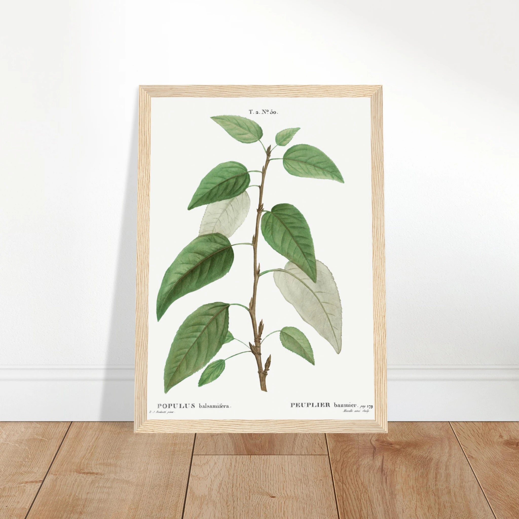 d8b05c7a-725d-453b-950a-a8c12f06e4b9