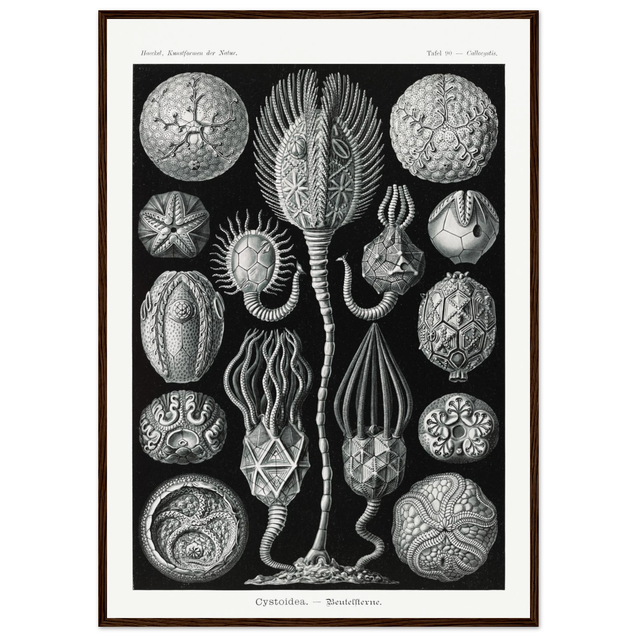 d8cd2d3b-46bd-4a46-aa63-6b8cfe1bd39d