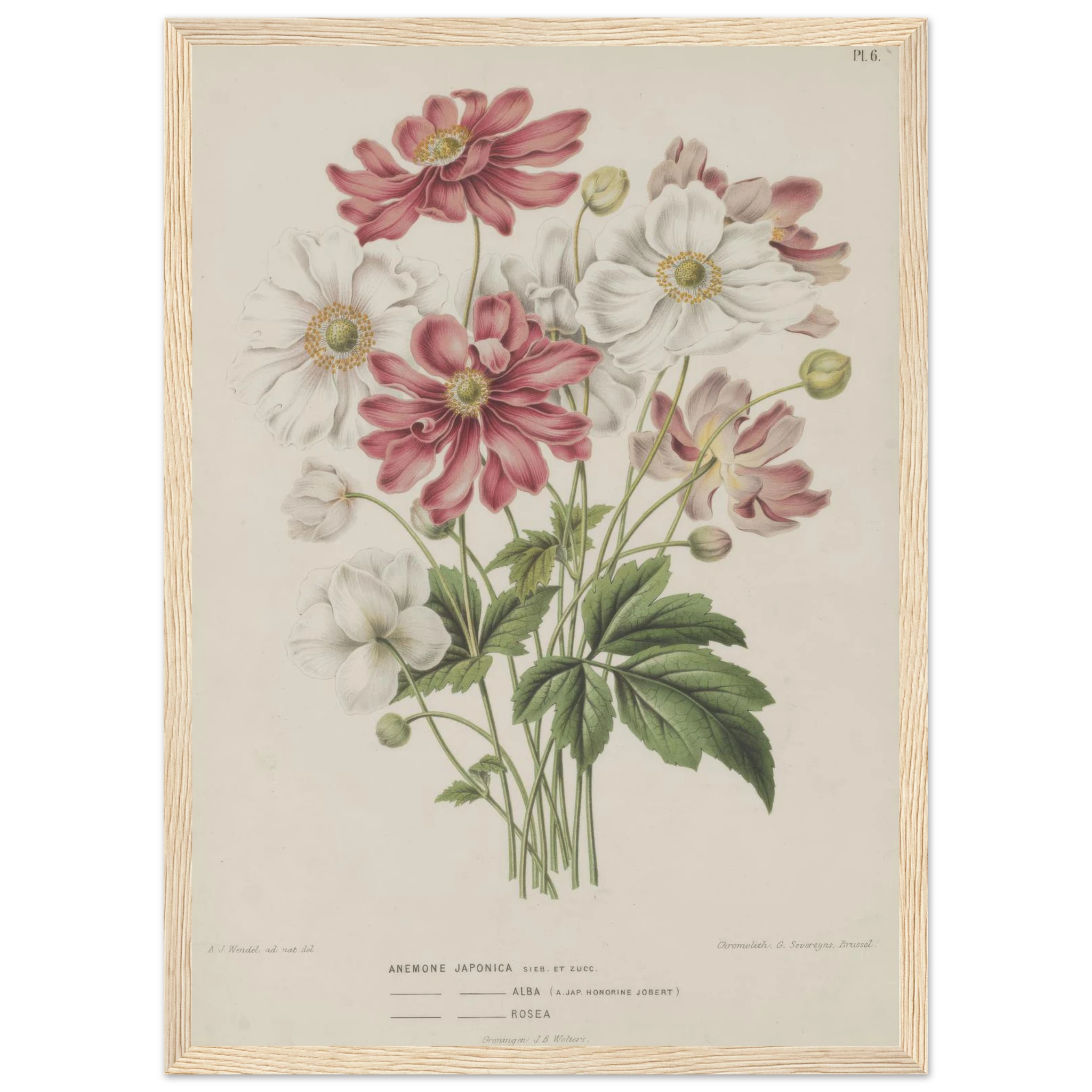 d8f2e96b-2d3c-4e3f-a794-77937704e76d