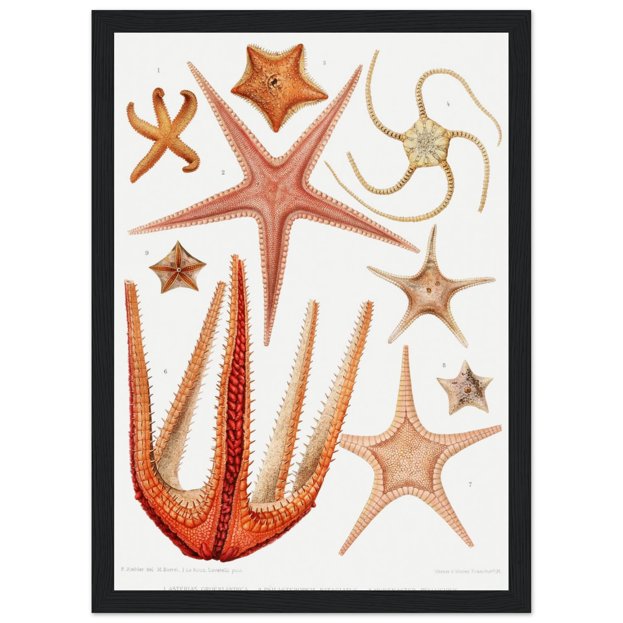 d909571b-2ca8-49ab-9ce5-1c56a132a407