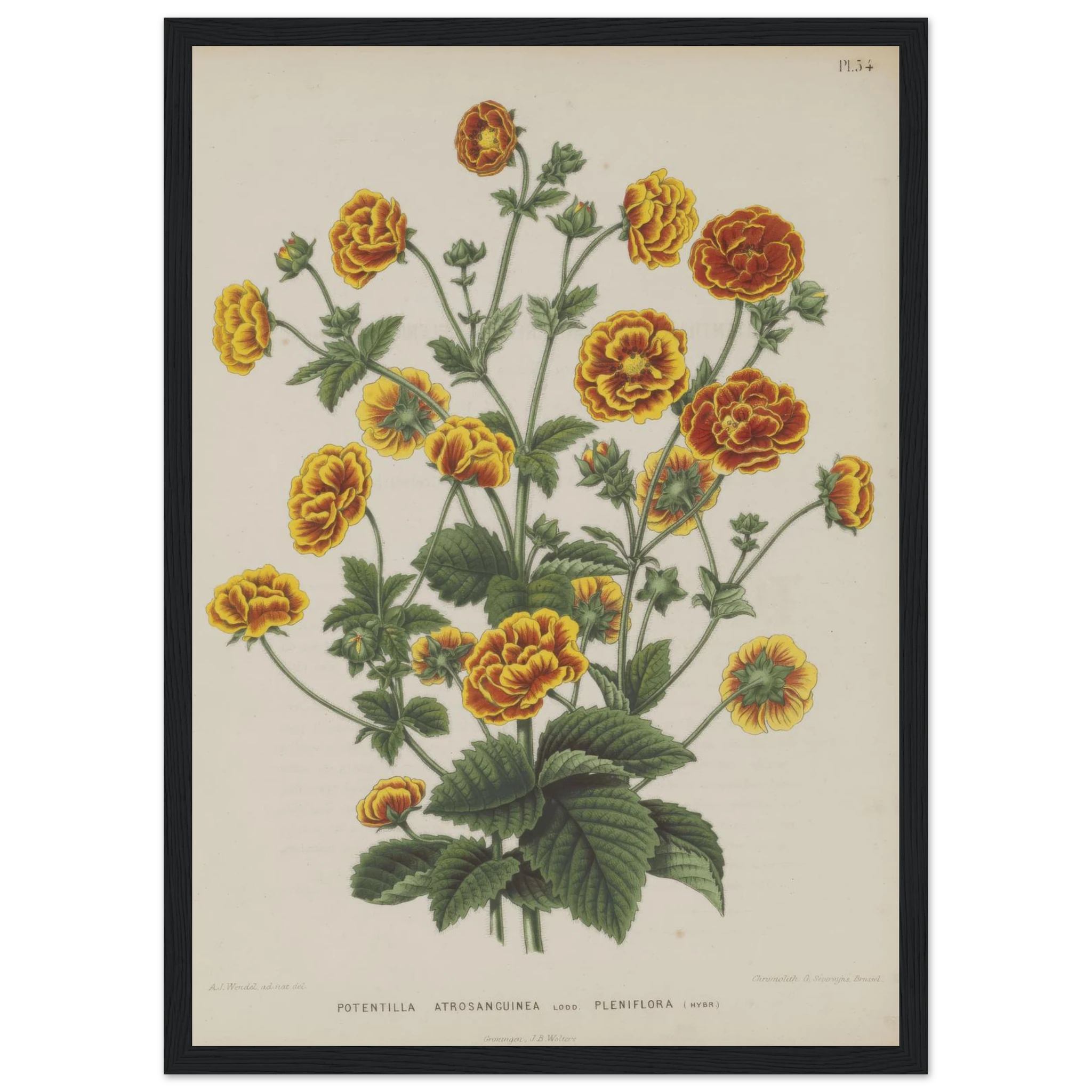 d92ae3e5-1d6a-489f-9e63-11bc90896b7d