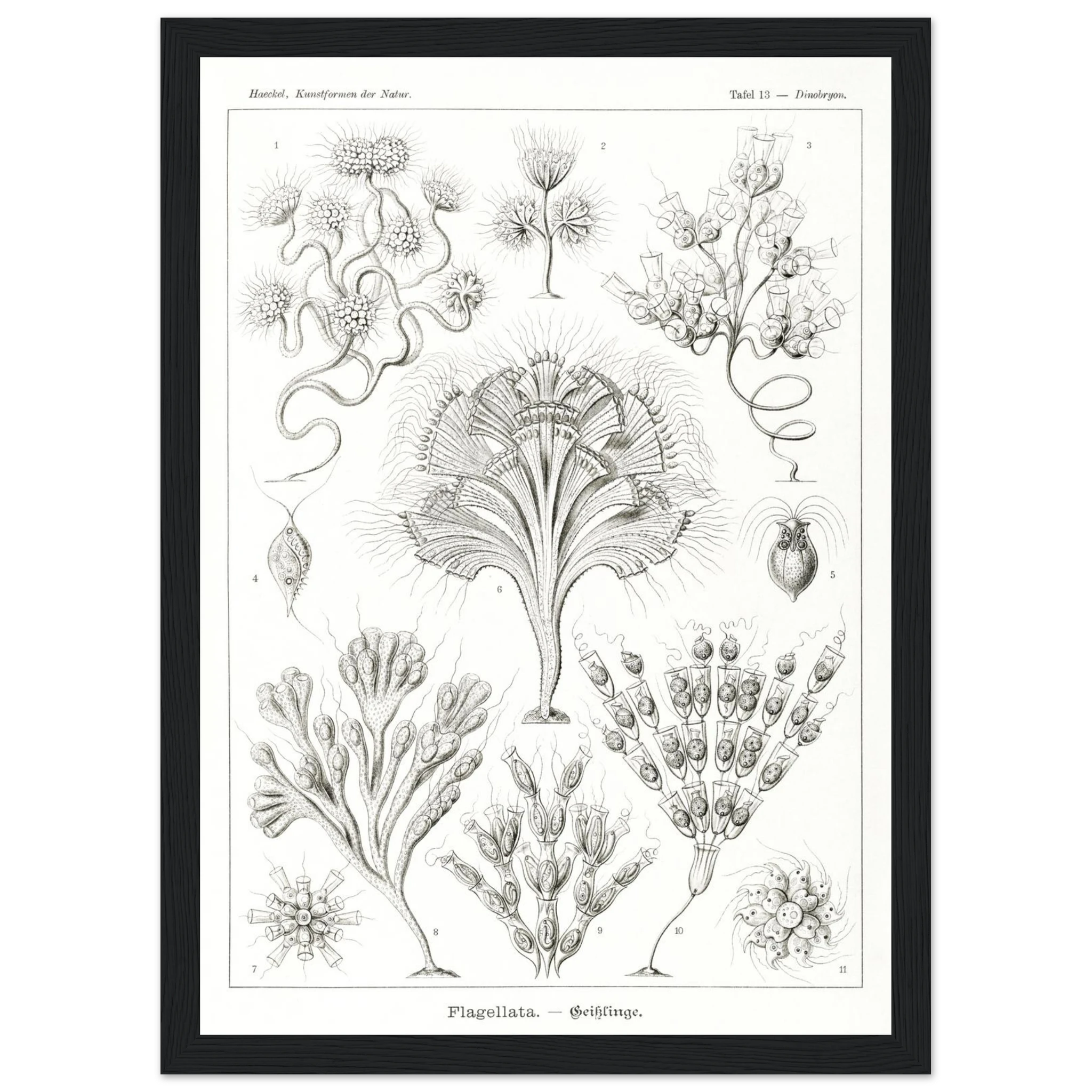 d92eeb73-8fa8-457a-b1bc-dc27641a613c