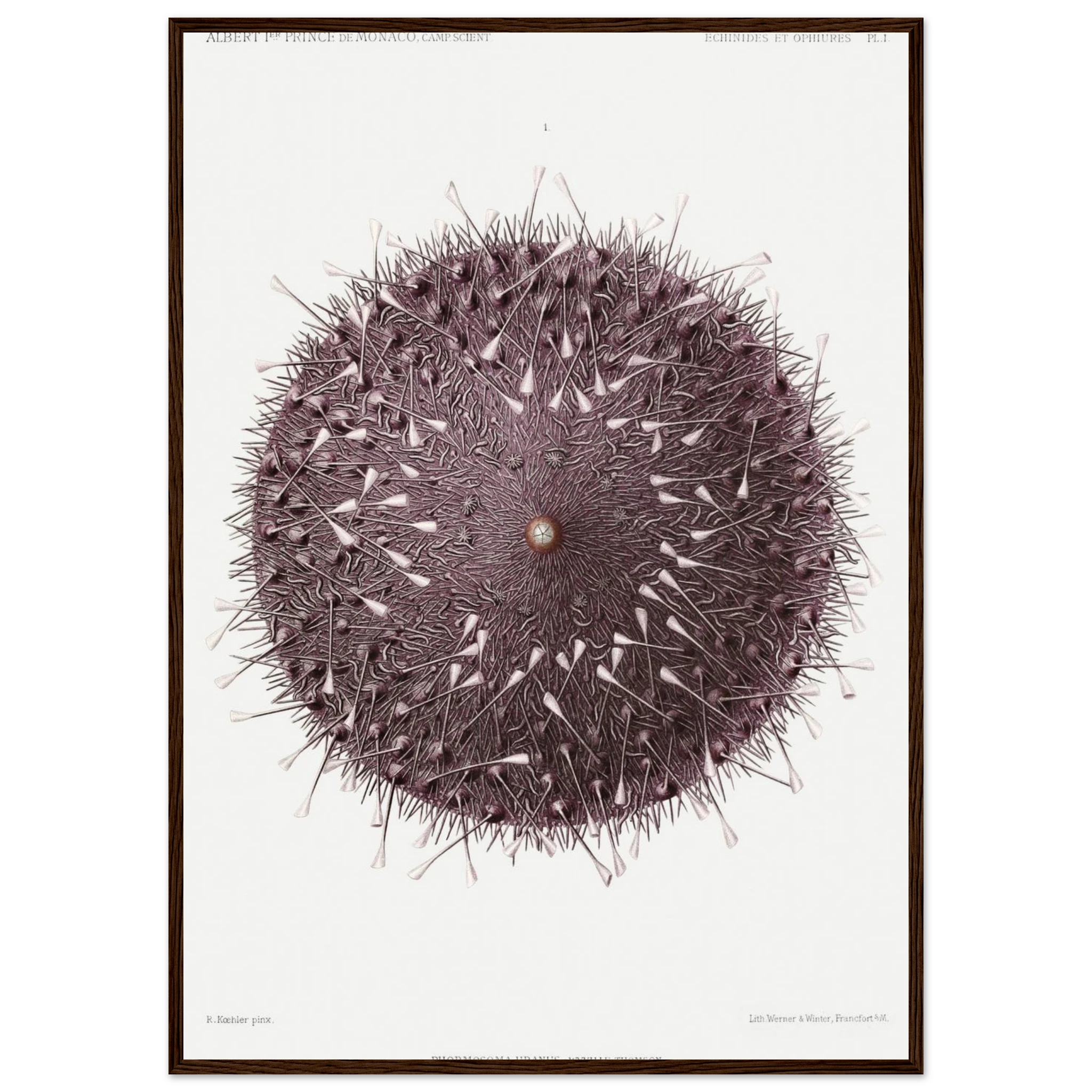 d971099f-f676-49d7-bf43-e7adc350ae4a