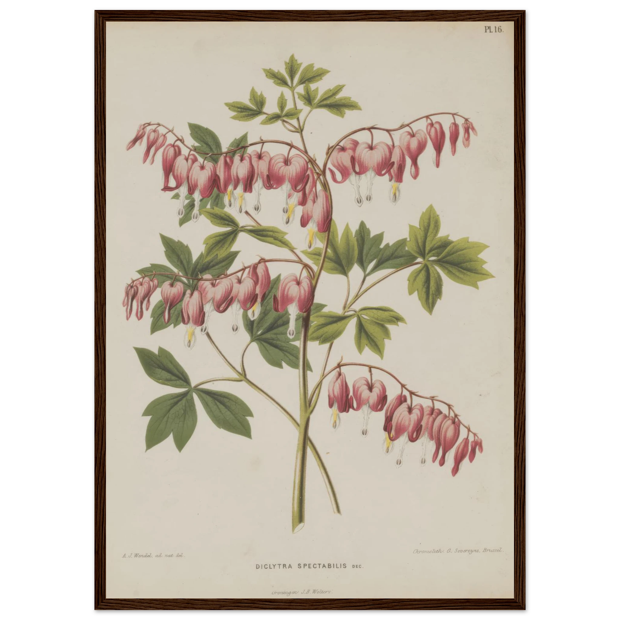 d9b1d134-d564-4b07-b949-6ba92534bde7