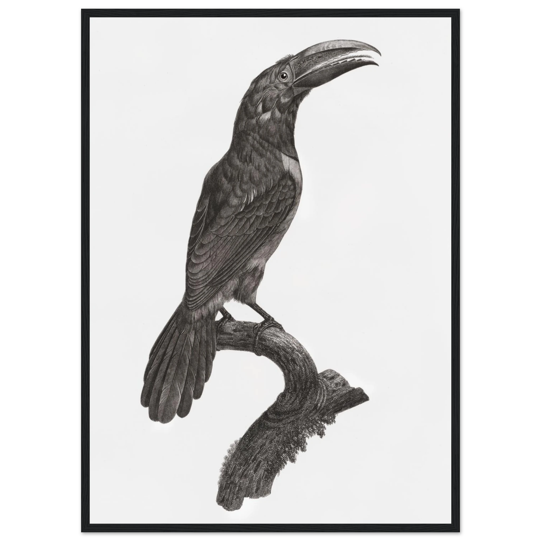 d9c8af52-b77d-4166-9d68-32c9751cb0c2