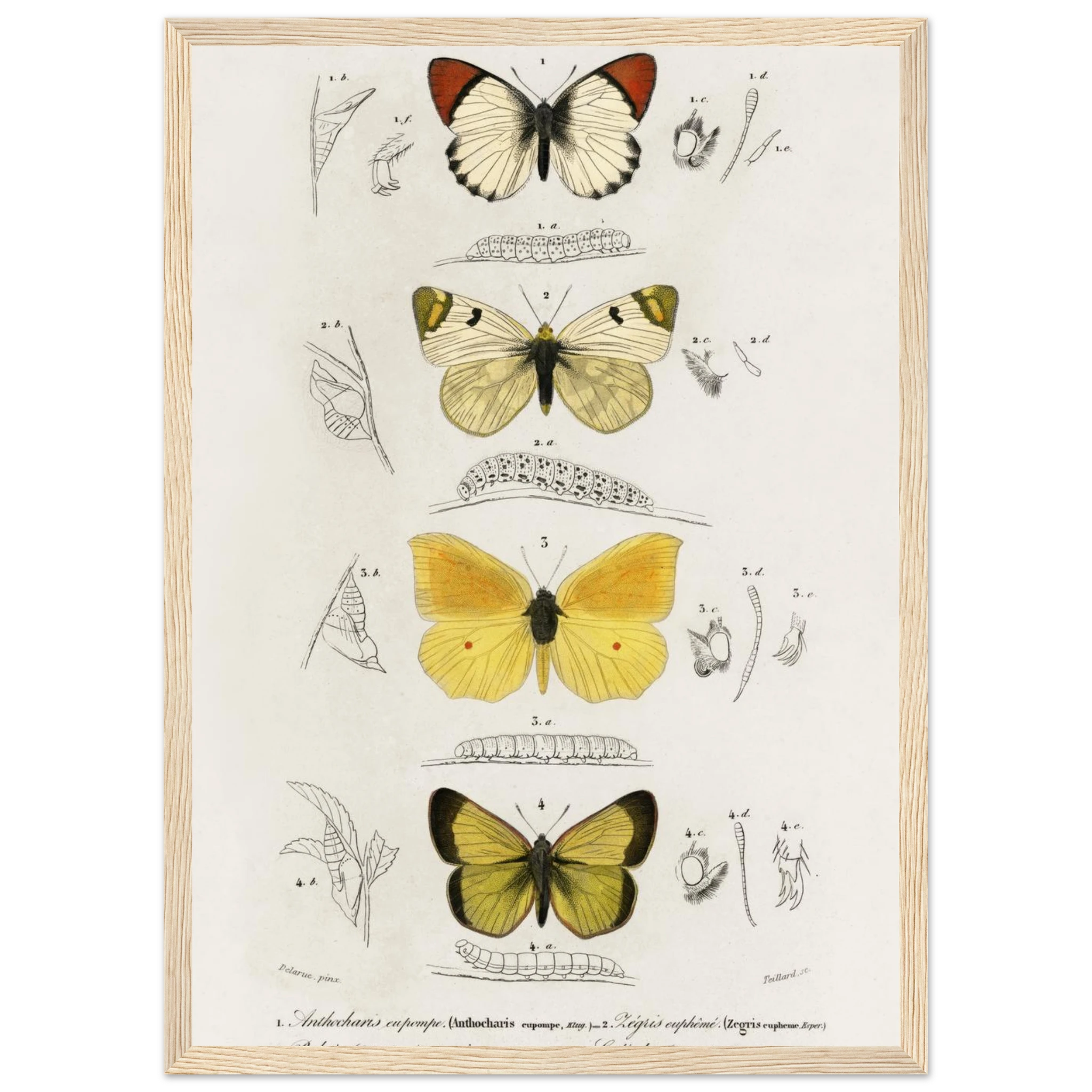 d9ead5e8-c2bc-4071-a9ad-636e7cef3aac