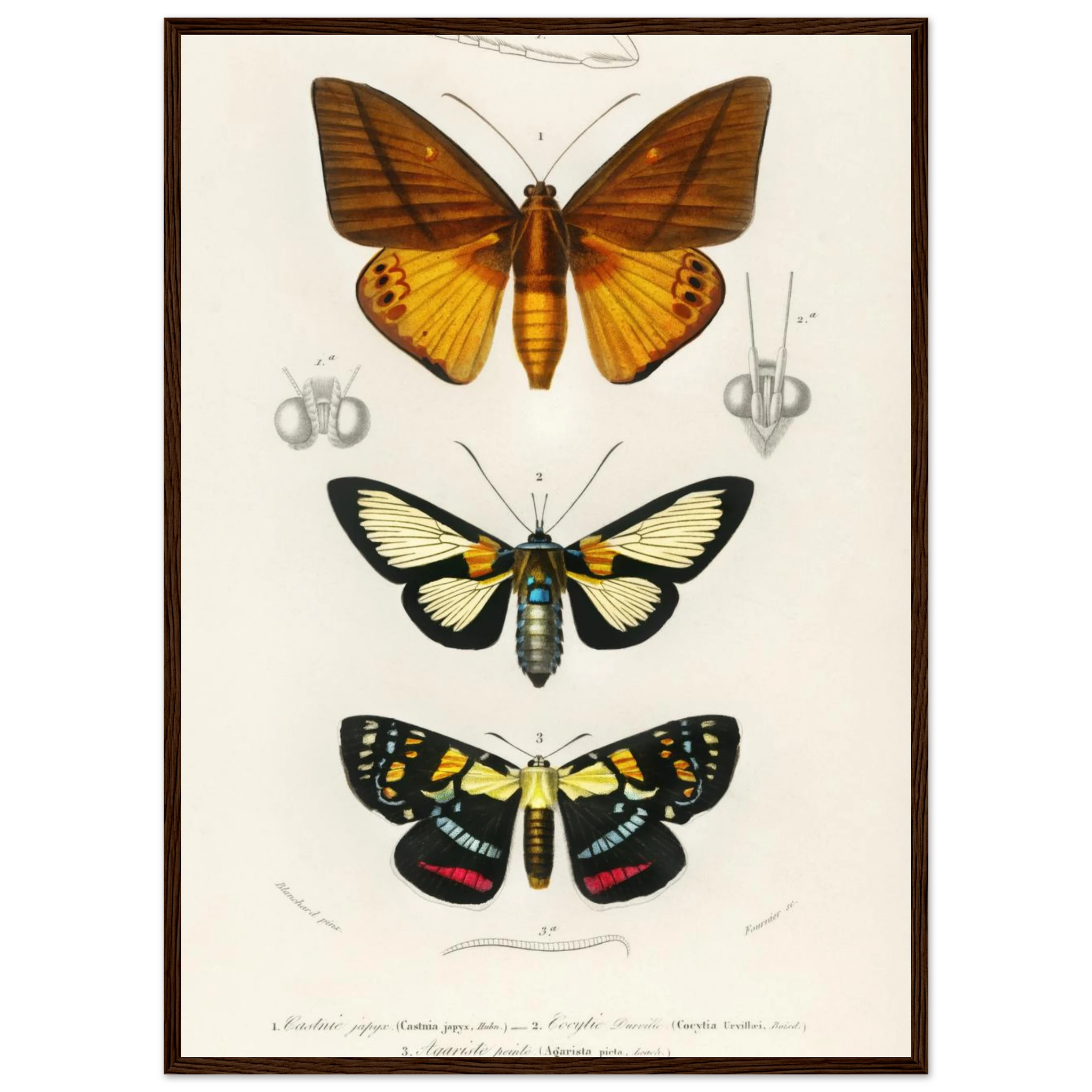 da0a6c7b-da70-4df4-a0fe-e150d2409a73