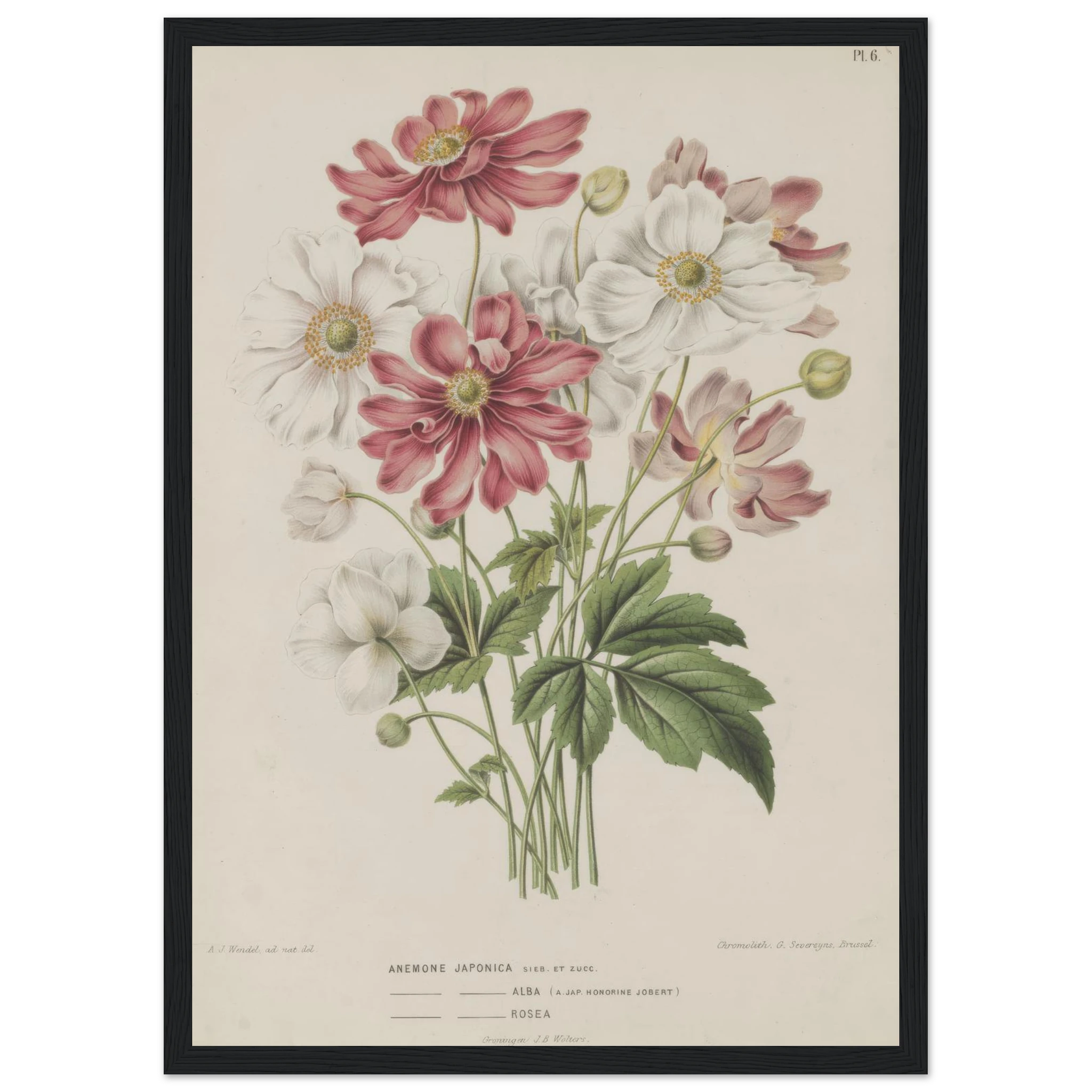 da0aadc5-e2fa-4609-a114-f49c6fbee2eb