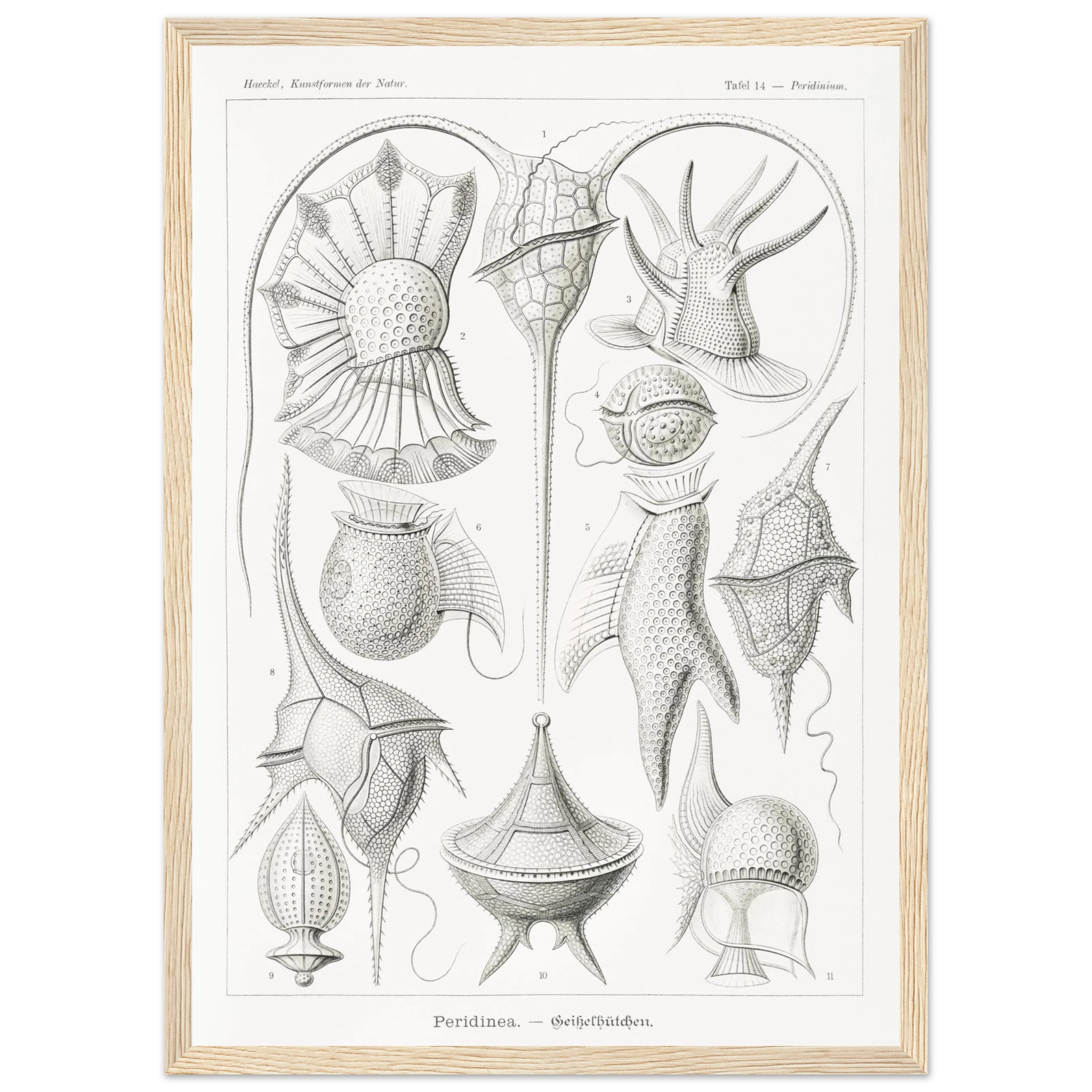 da1d955d-3be7-4d59-89bb-d100e552829d