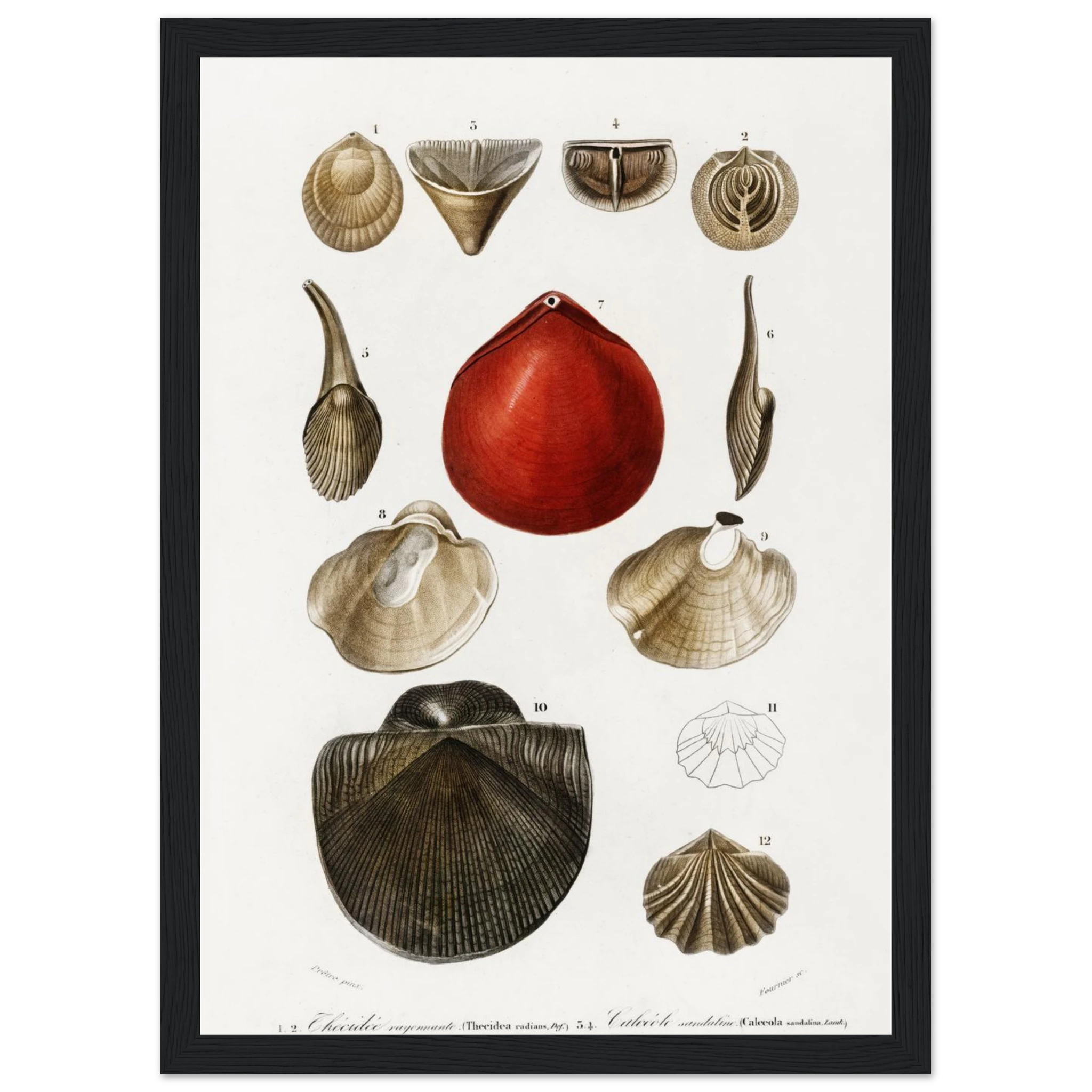 da4481a8-e9ee-4aee-9533-9c213bc89cfc