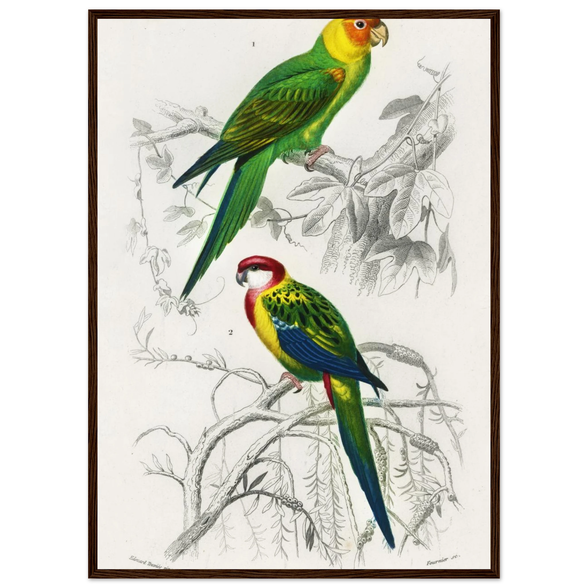 da4e2304-b49b-41c8-9094-c969d986260f