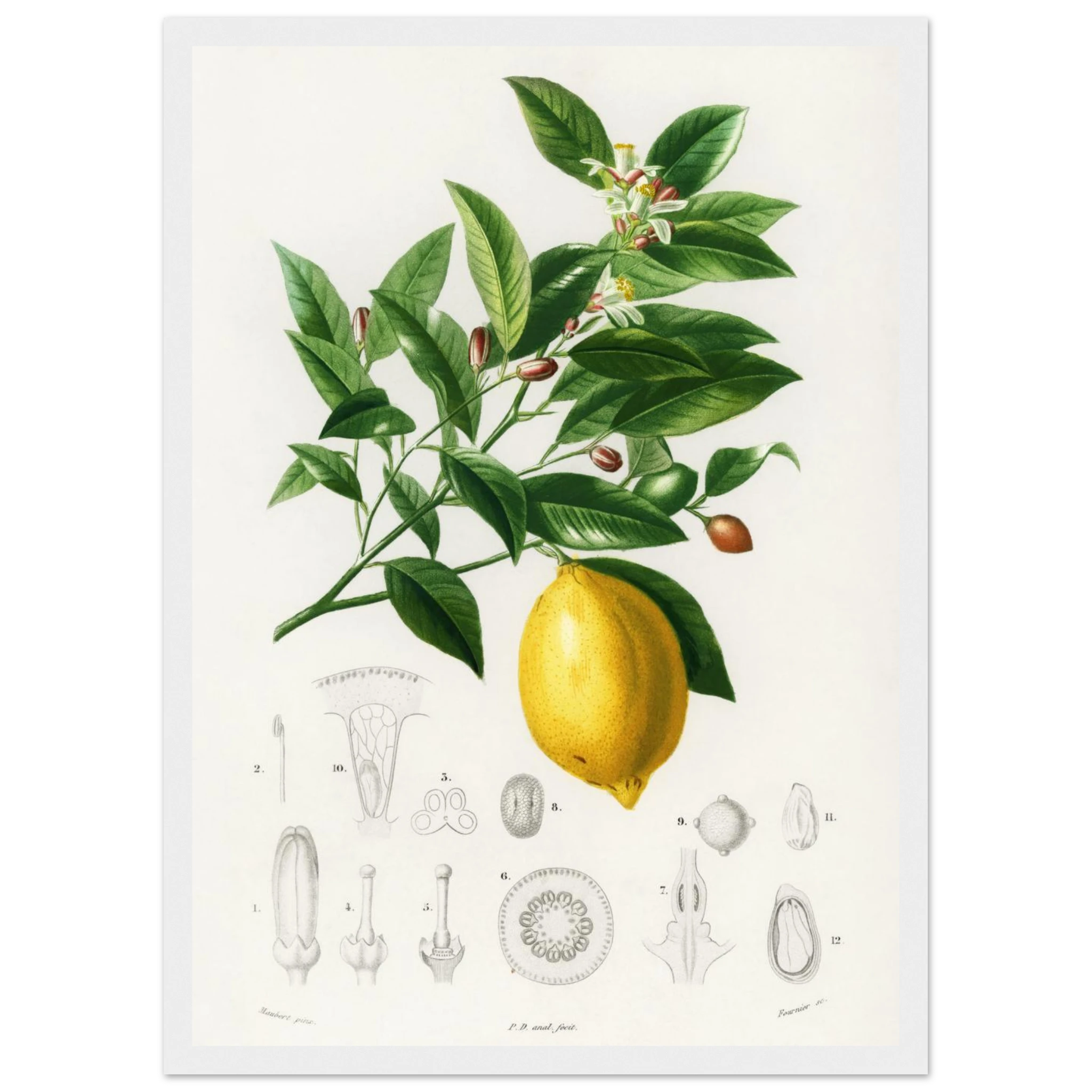 da7f56bd-15fb-495b-832f-d46524a87776