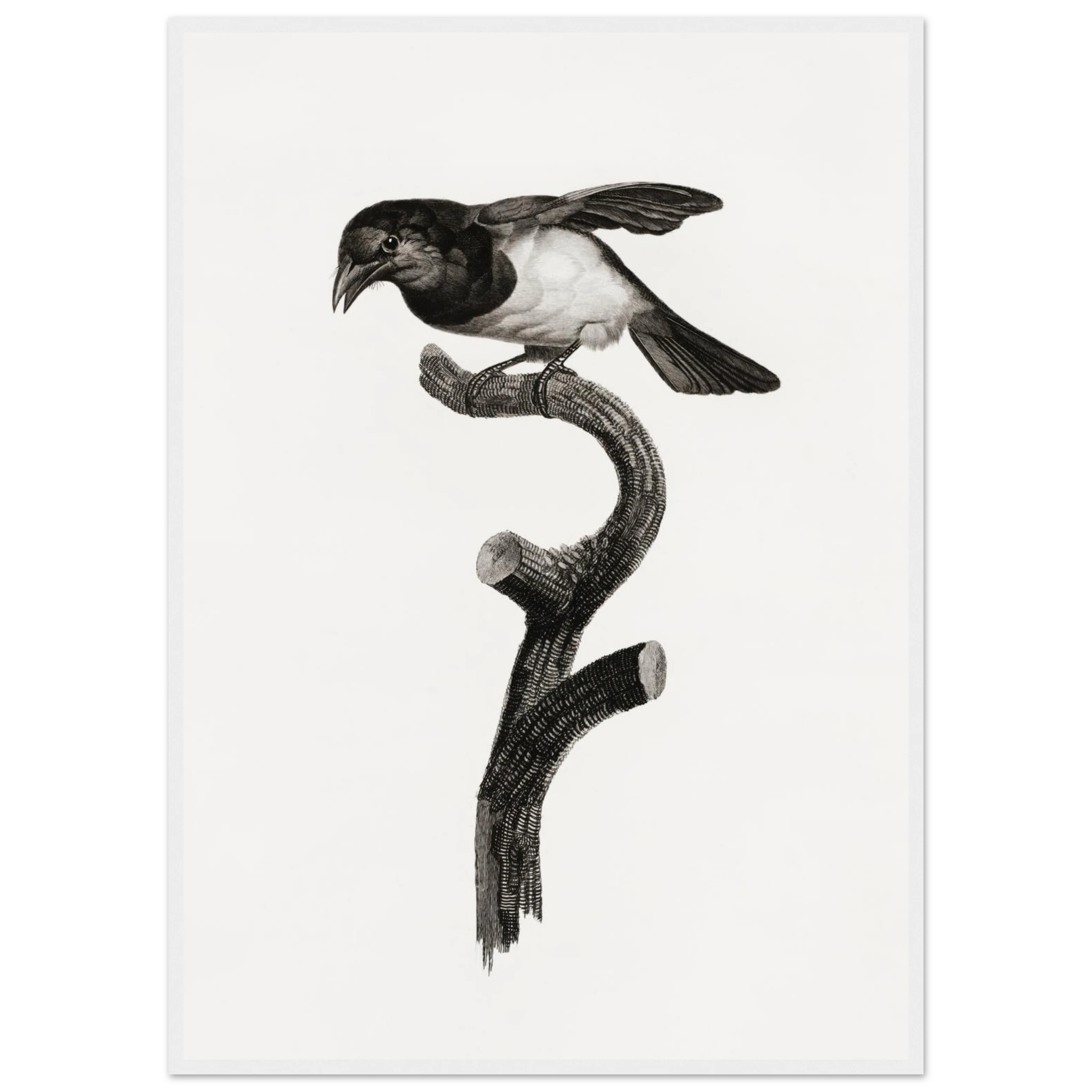 da9c0bd8-f7de-4bed-a159-661830a42067