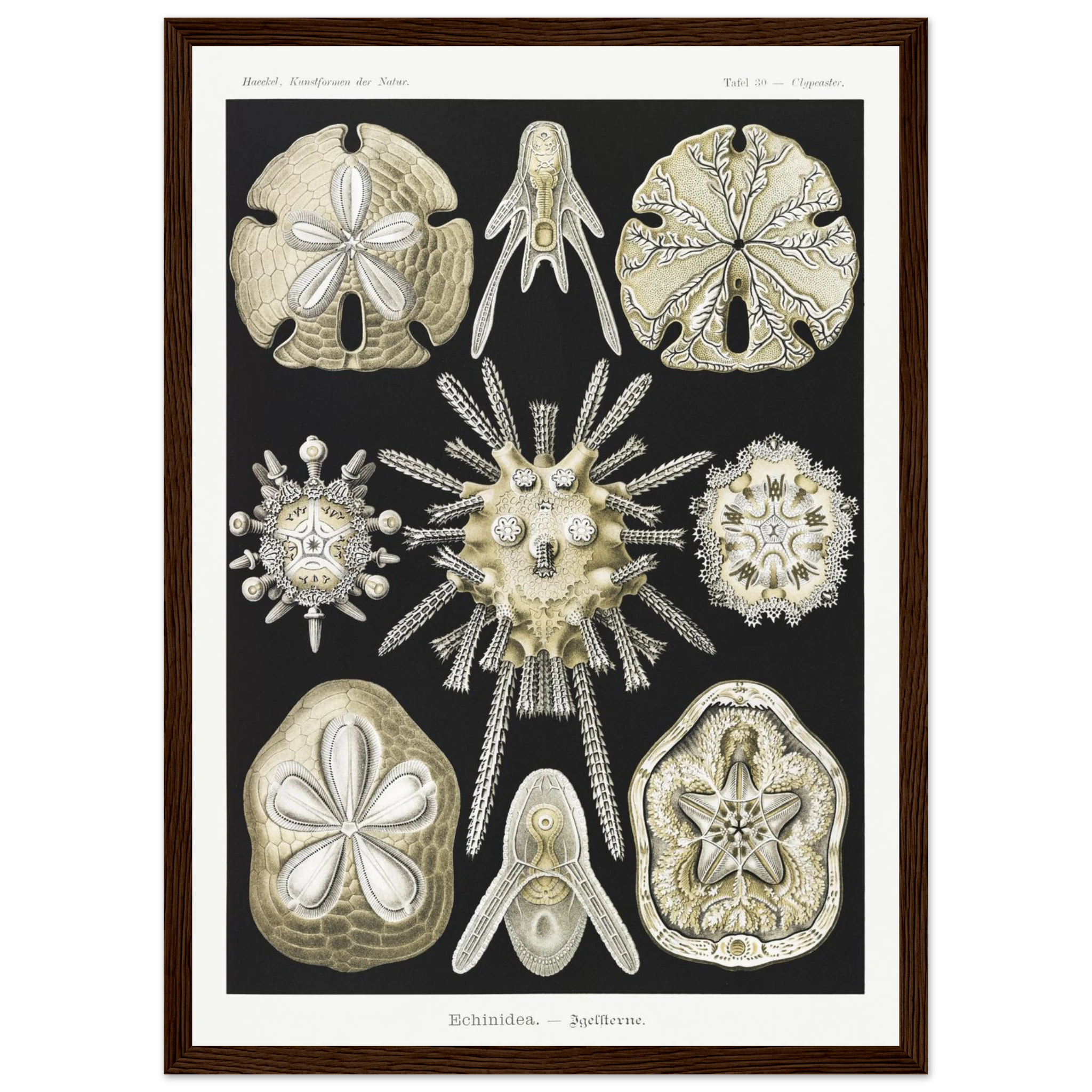 dab0b19c-cfcd-4c7f-b71c-23210abebd54