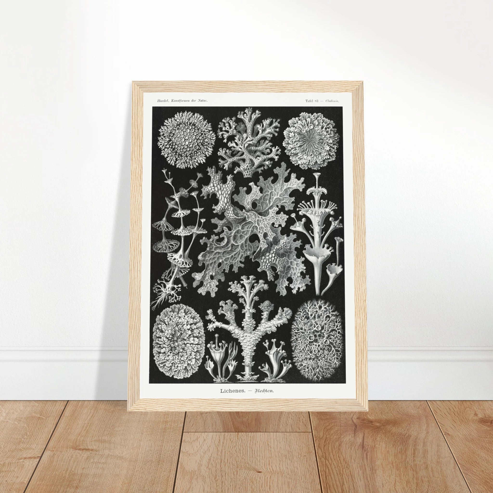 dac06619-a100-4863-9b31-80442670b1b7