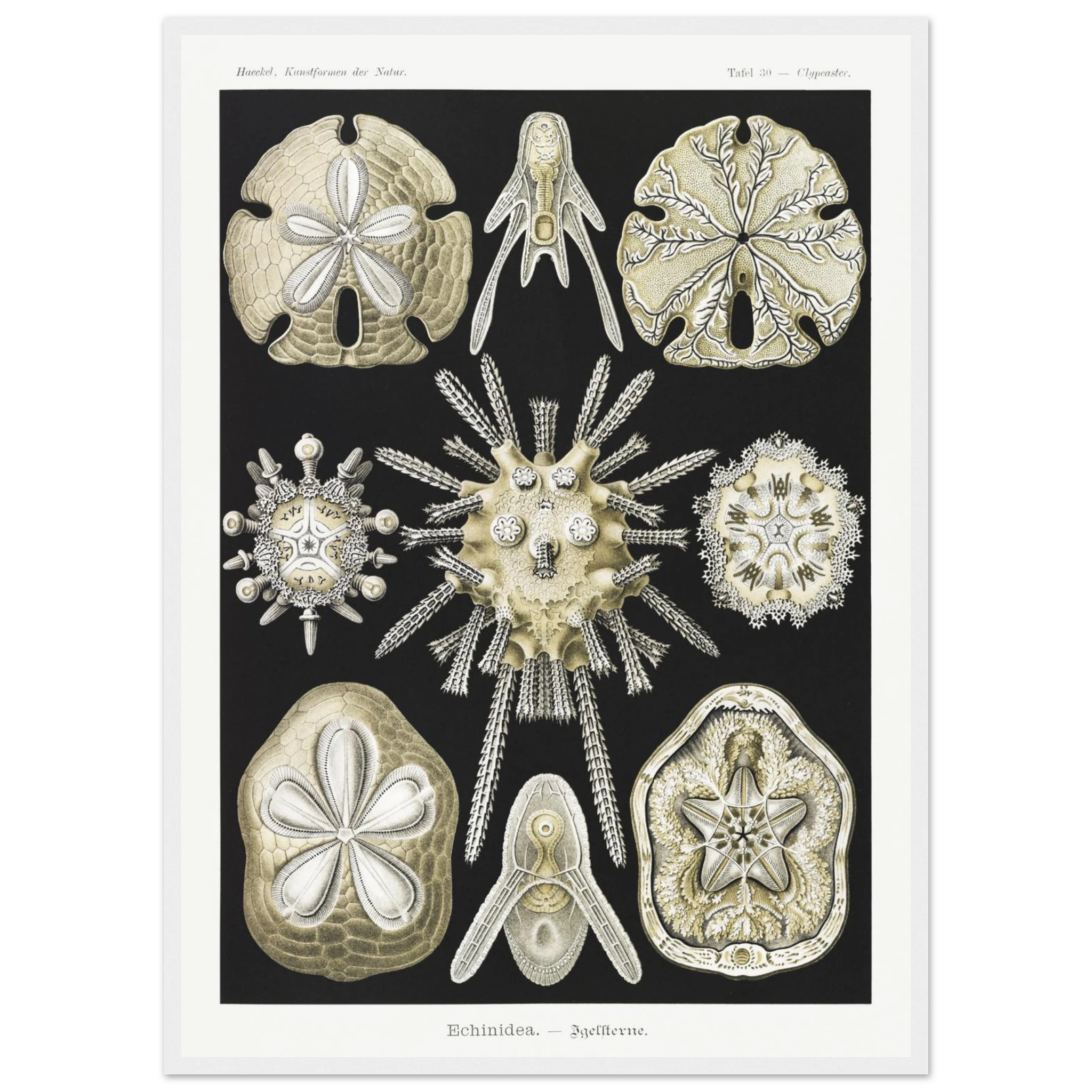 dadcdca0-4f70-4c9f-9adf-d72ef6929dc8