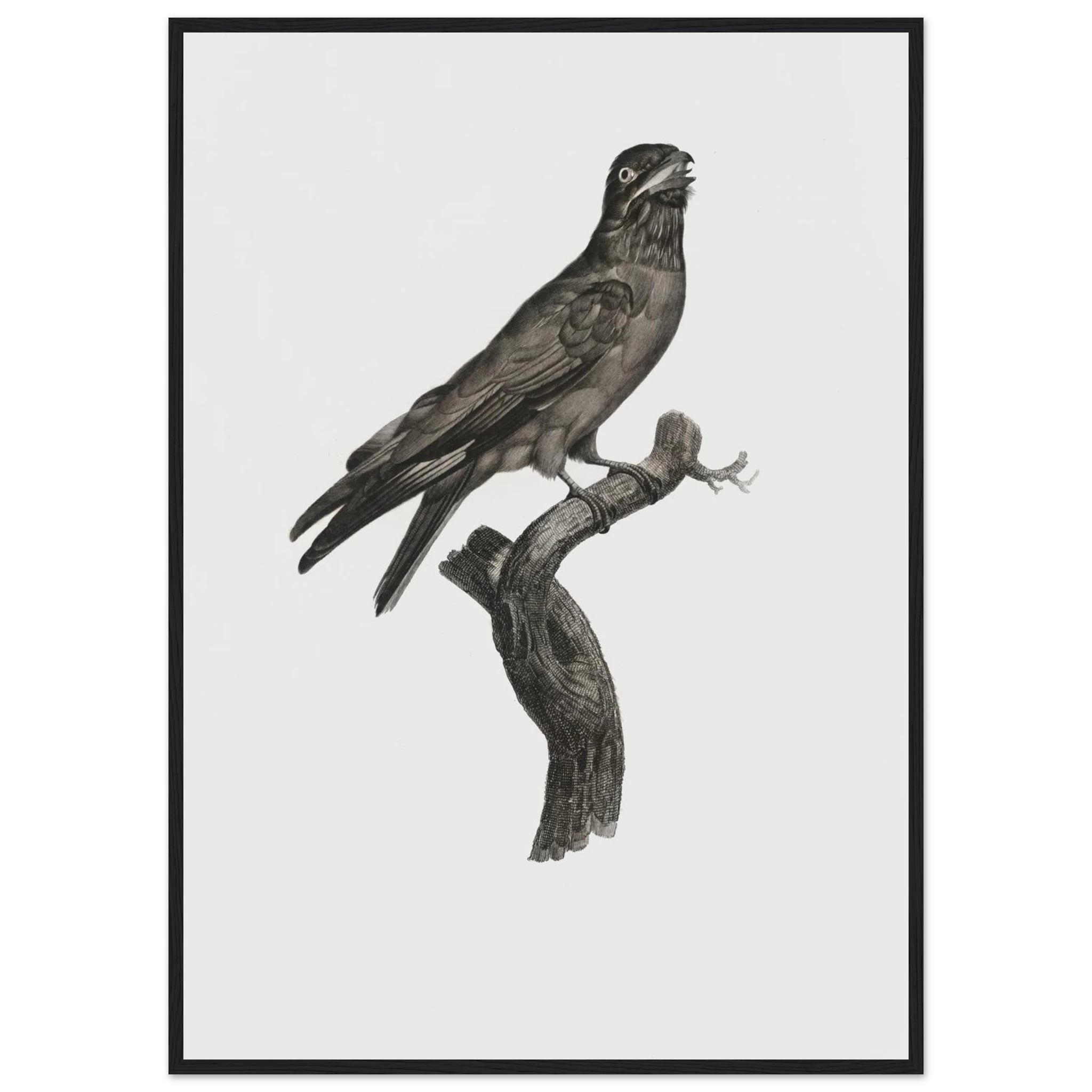 daef208a-732d-4852-9c4b-7fa12bf1167a