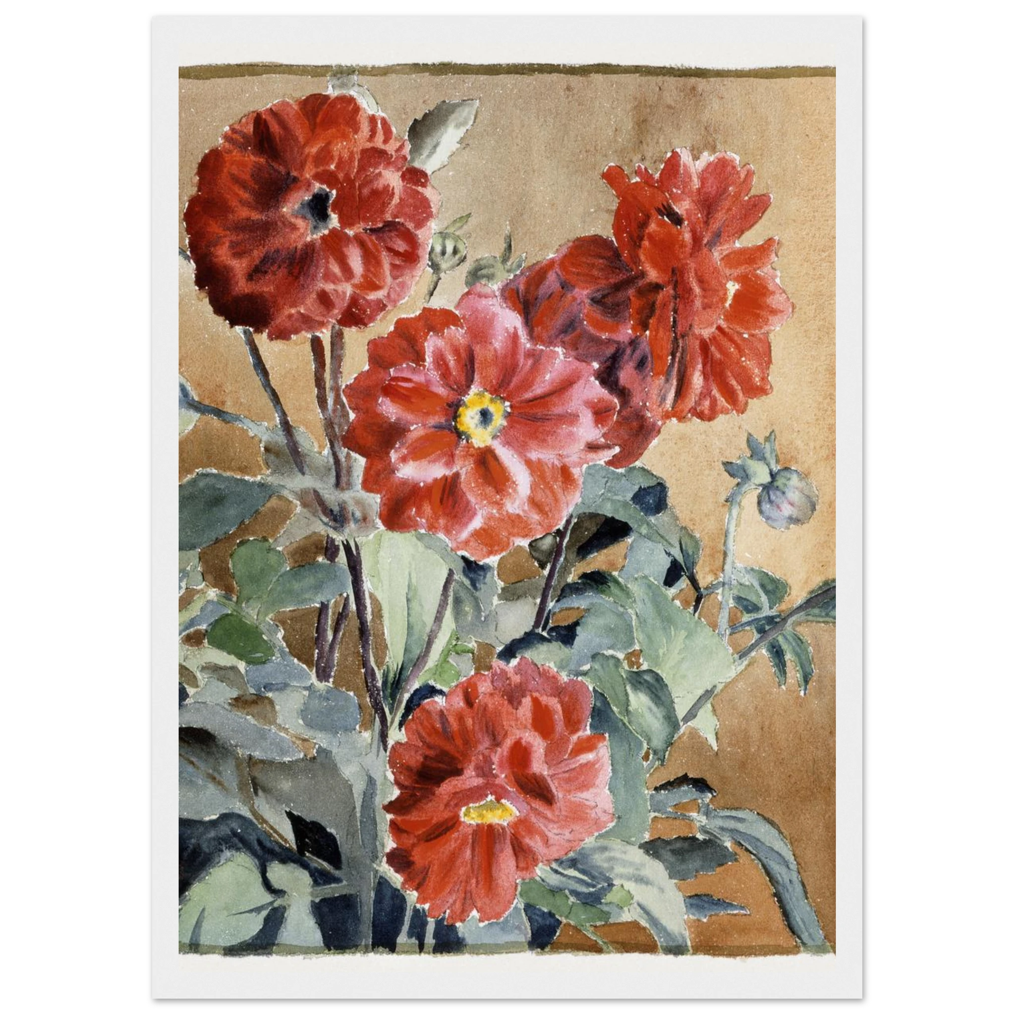 db46f202-6702-47b0-ab3b-389d0f318513