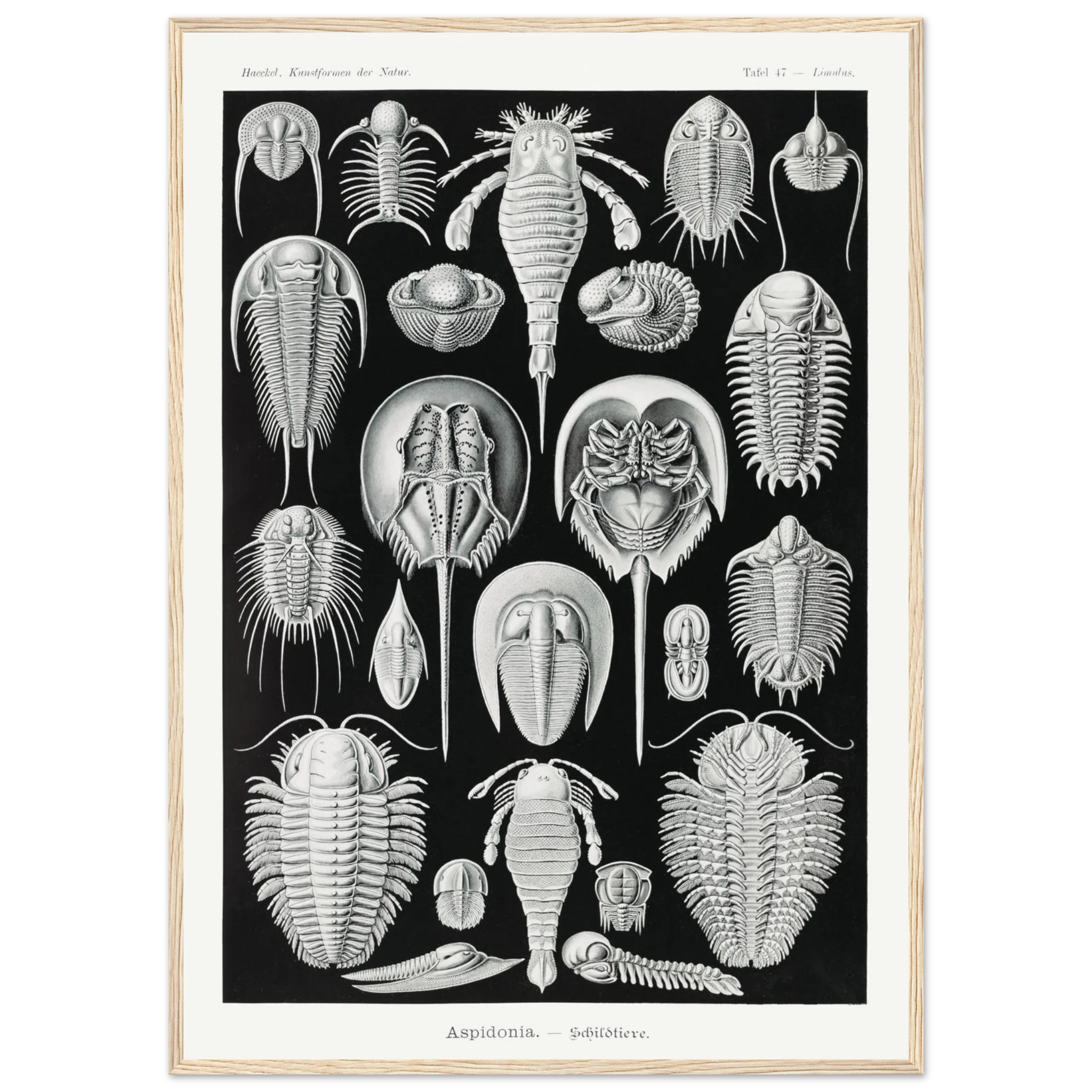 db4e4b1b-9d40-4a27-ba37-f87dcddf889e