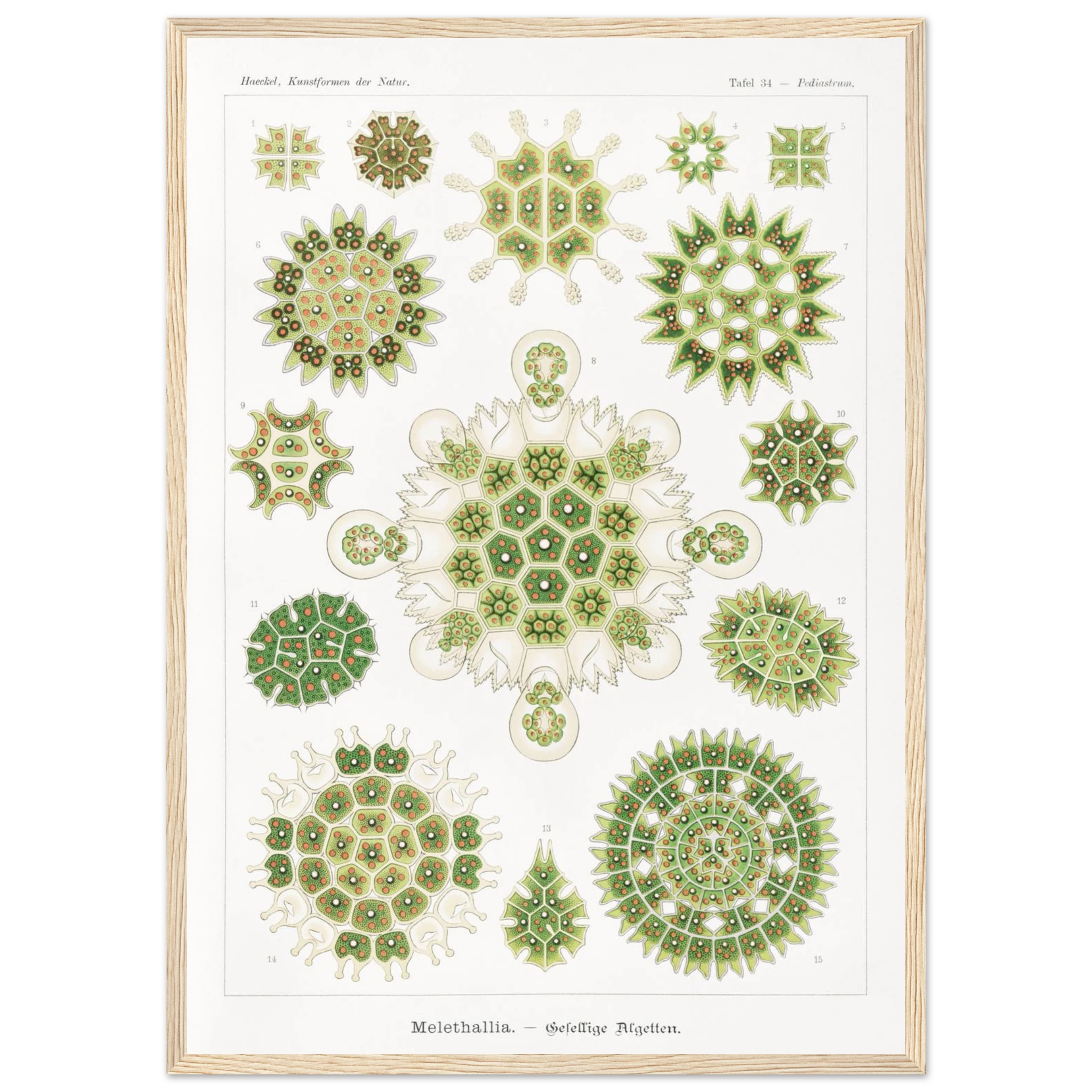 db6e3ca7-4007-4d93-b3a0-9ce2e93af4df