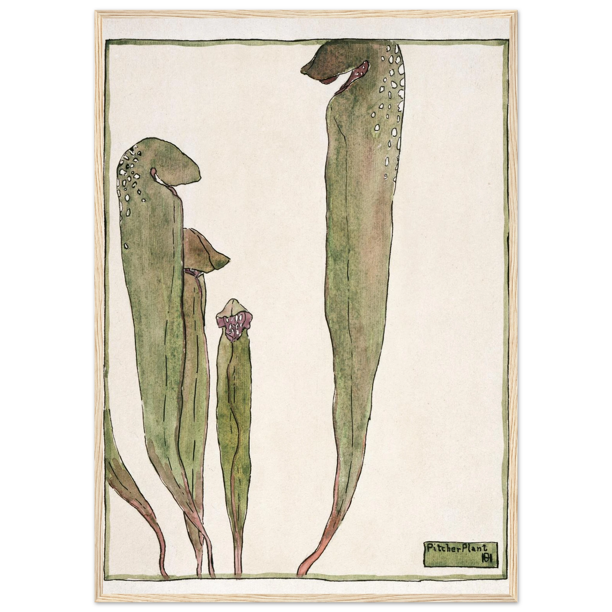 db767a2f-763a-4198-bf07-2bd7943cc34d