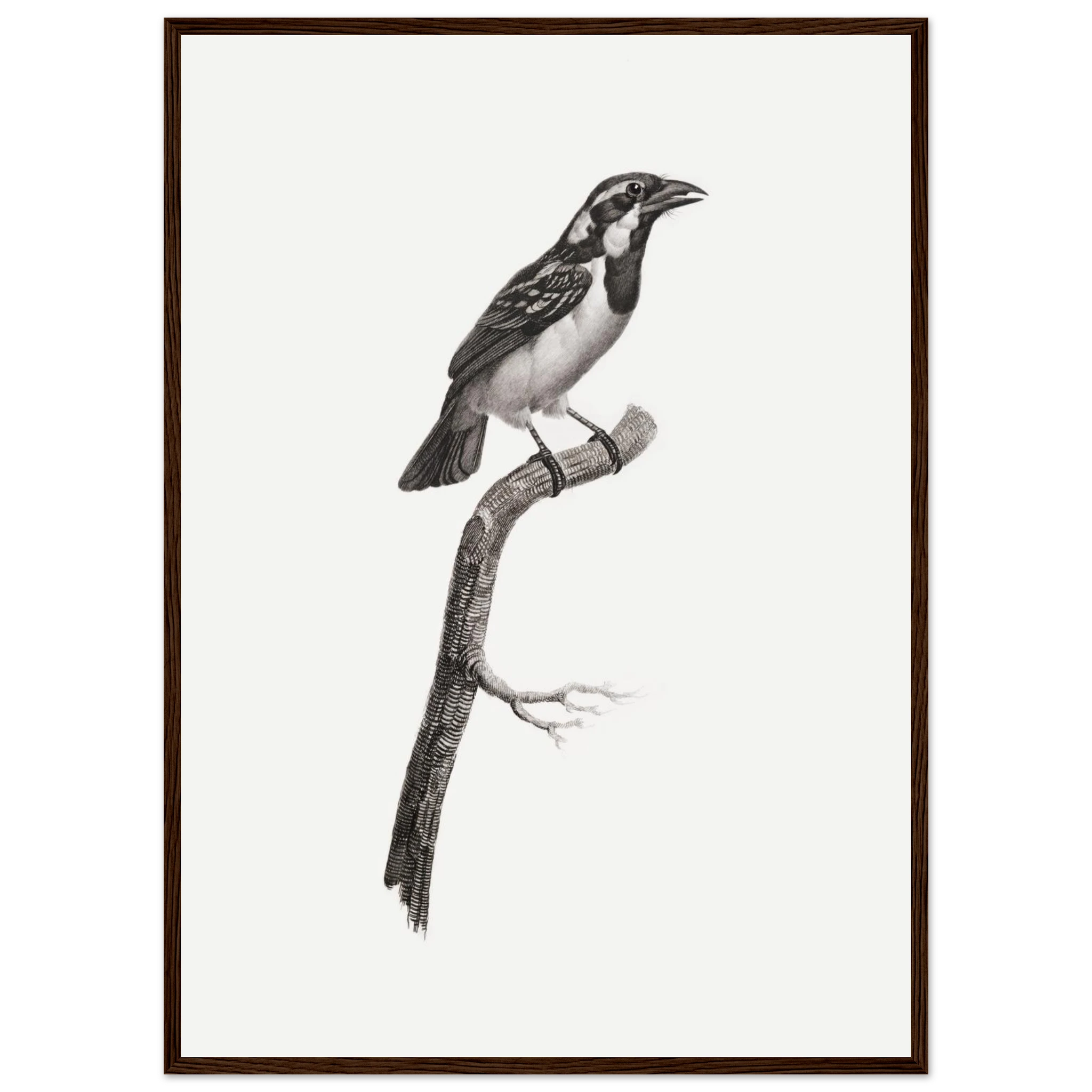 db8929f2-a541-427b-8392-7c75ca4d0232