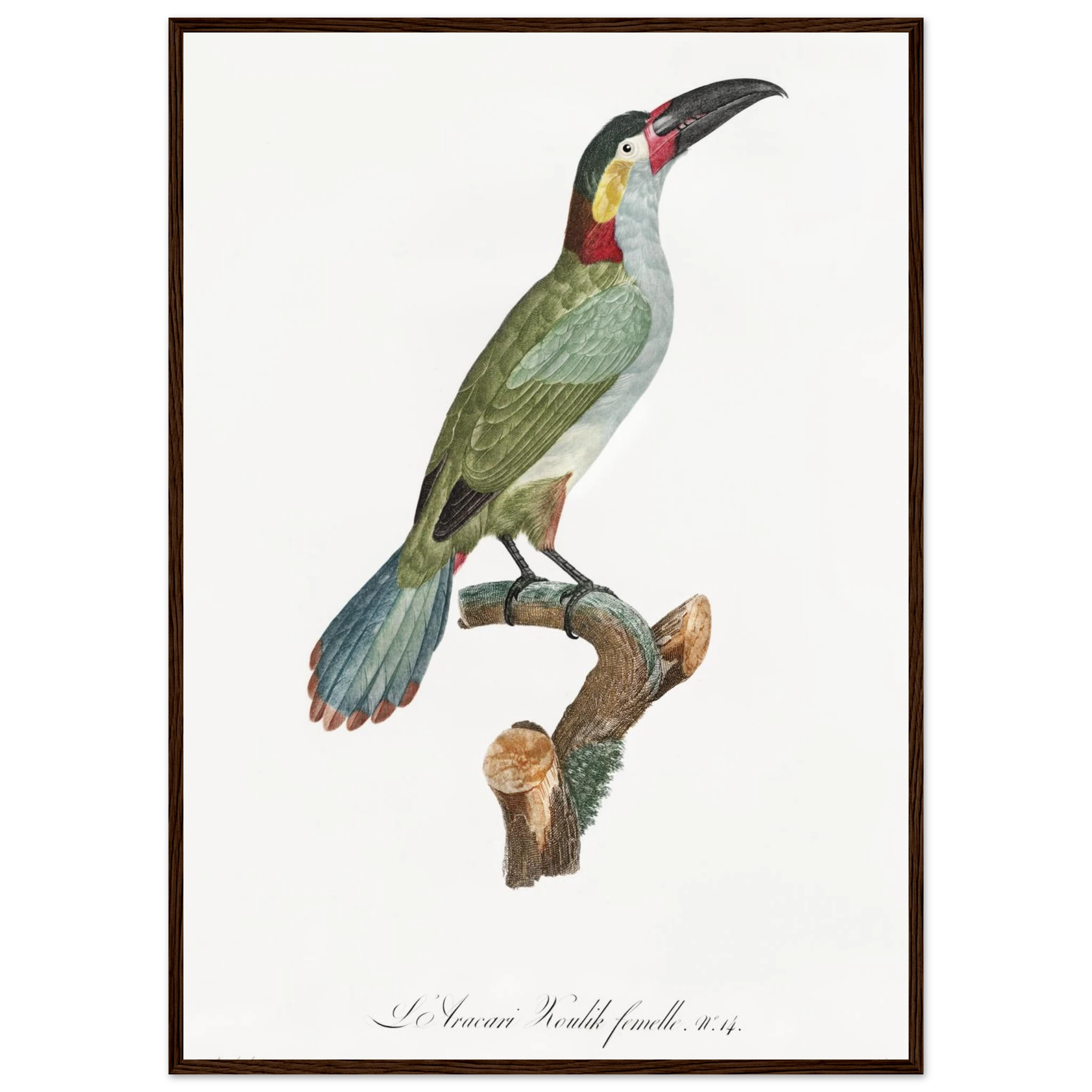 db9a396b-60c5-440b-b742-1462e5e7d496